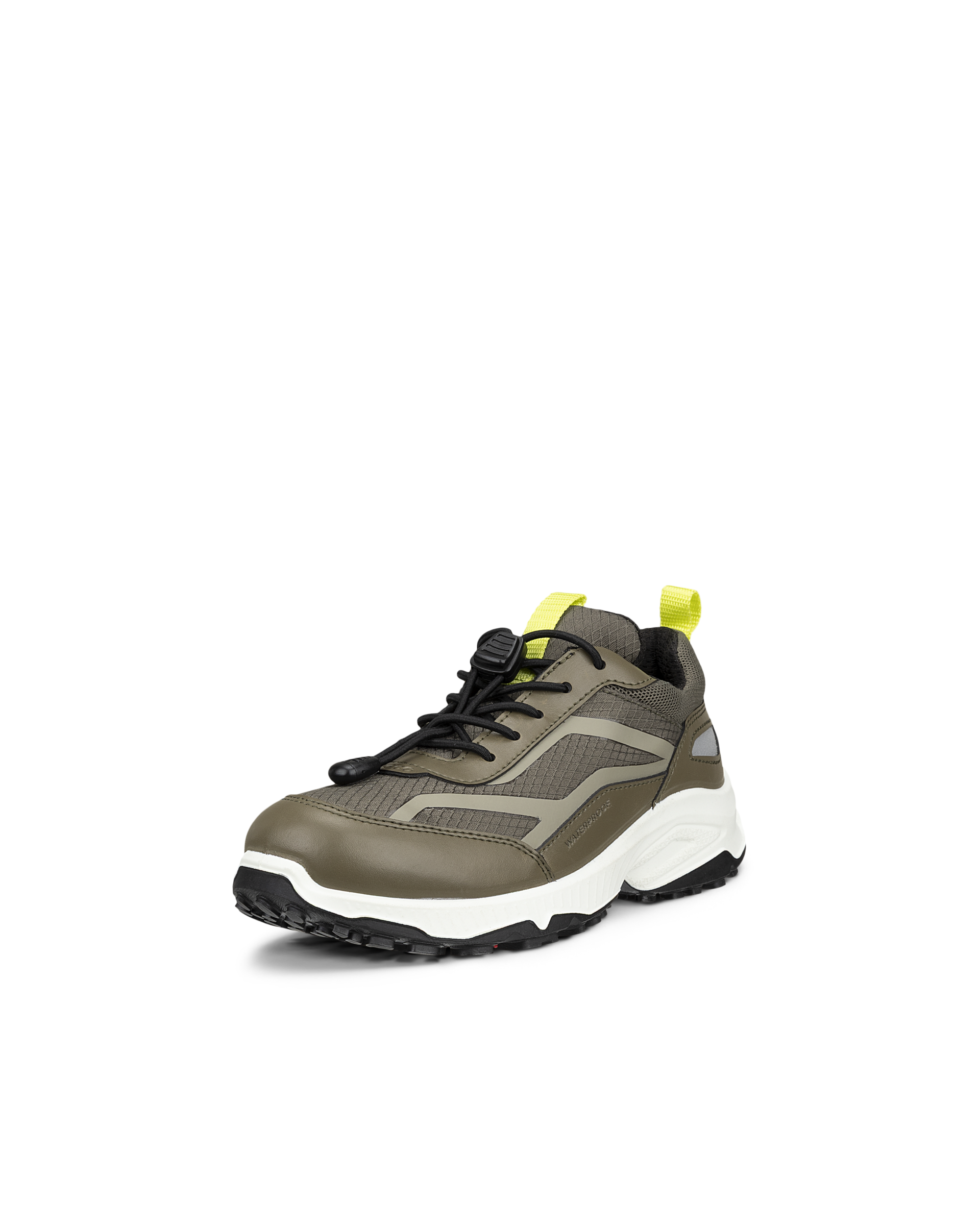 ECCO RECEPTOR XP — Green