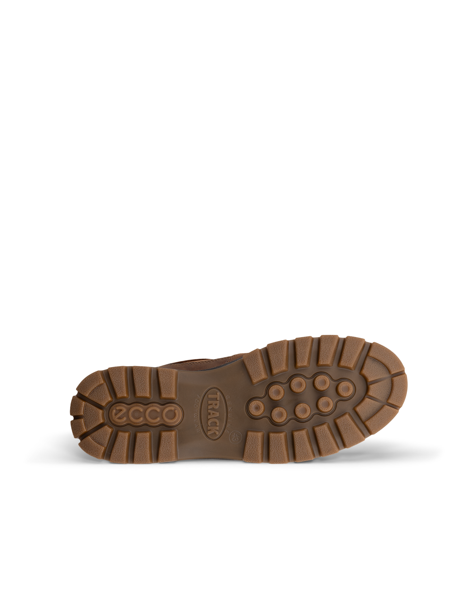 ECCO Track 25 — Brown
