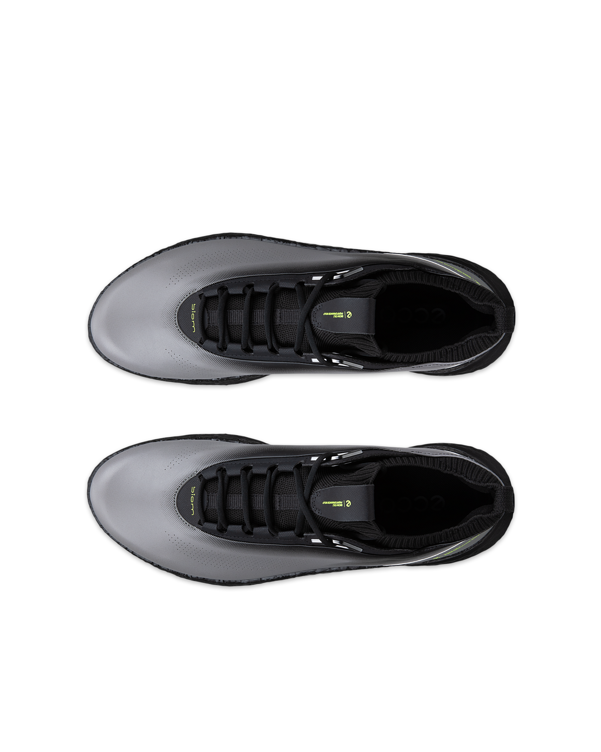 ECCO Golf Biom C5 — Gray