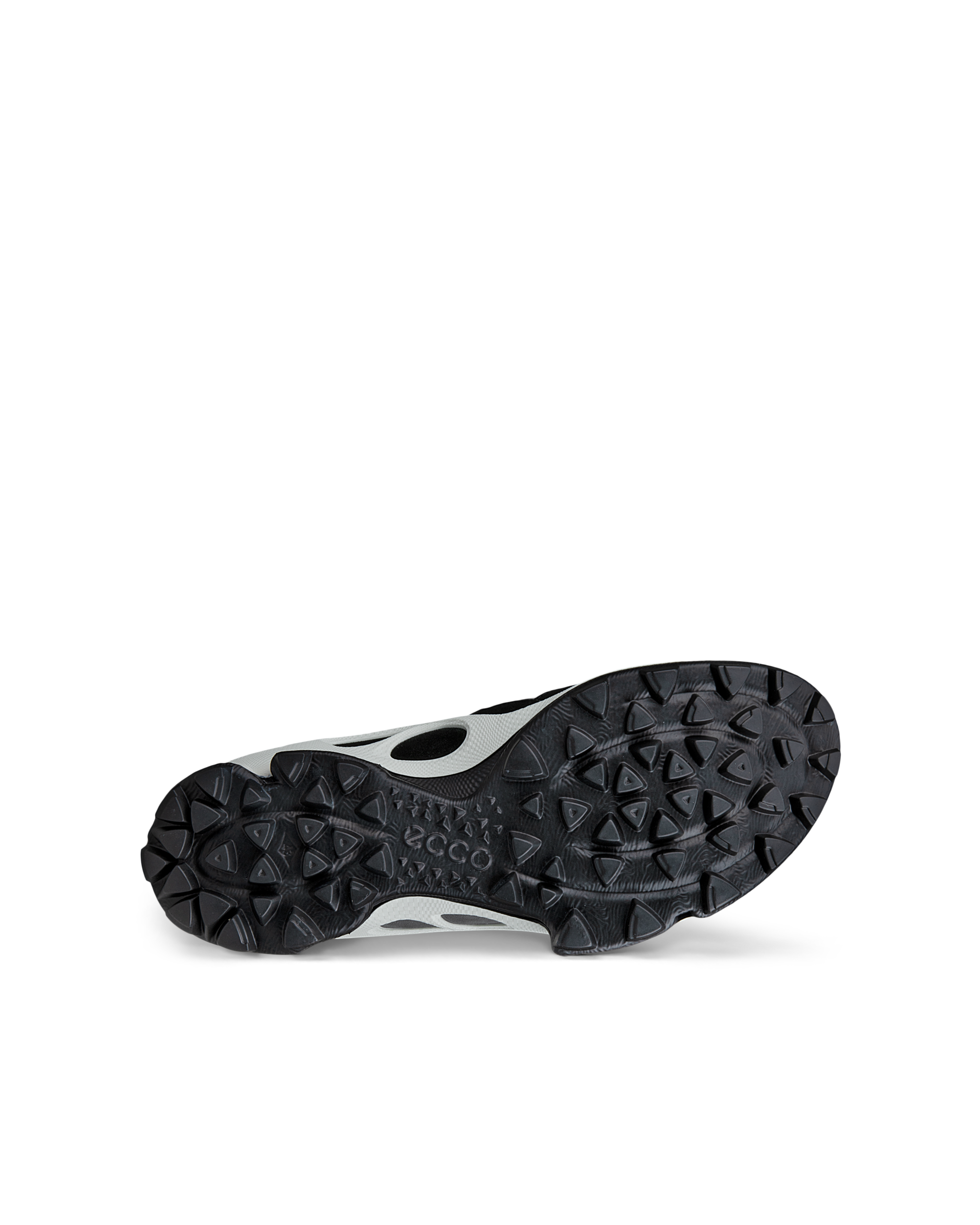 ECCO BIOM C-TRAIL — Black