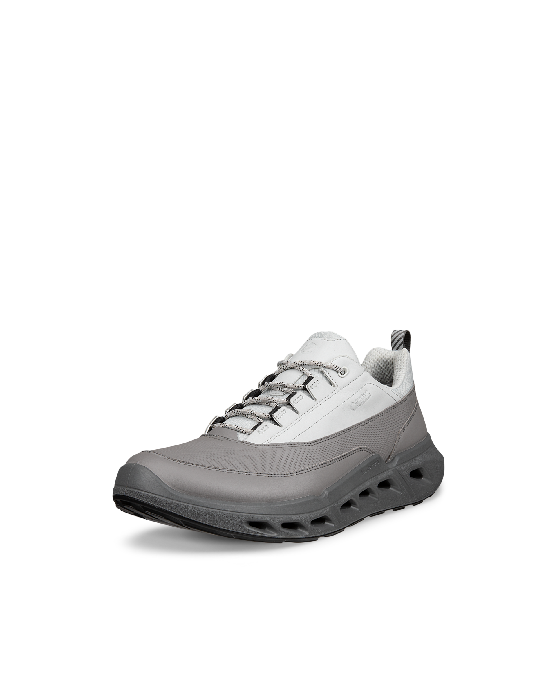 ECCO Biom 720 Gore-Tex — Gray