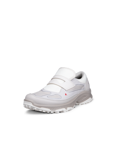 ECCO Receptor Xp — Gray 2