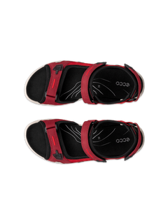 ECCO Offroad — Red 6