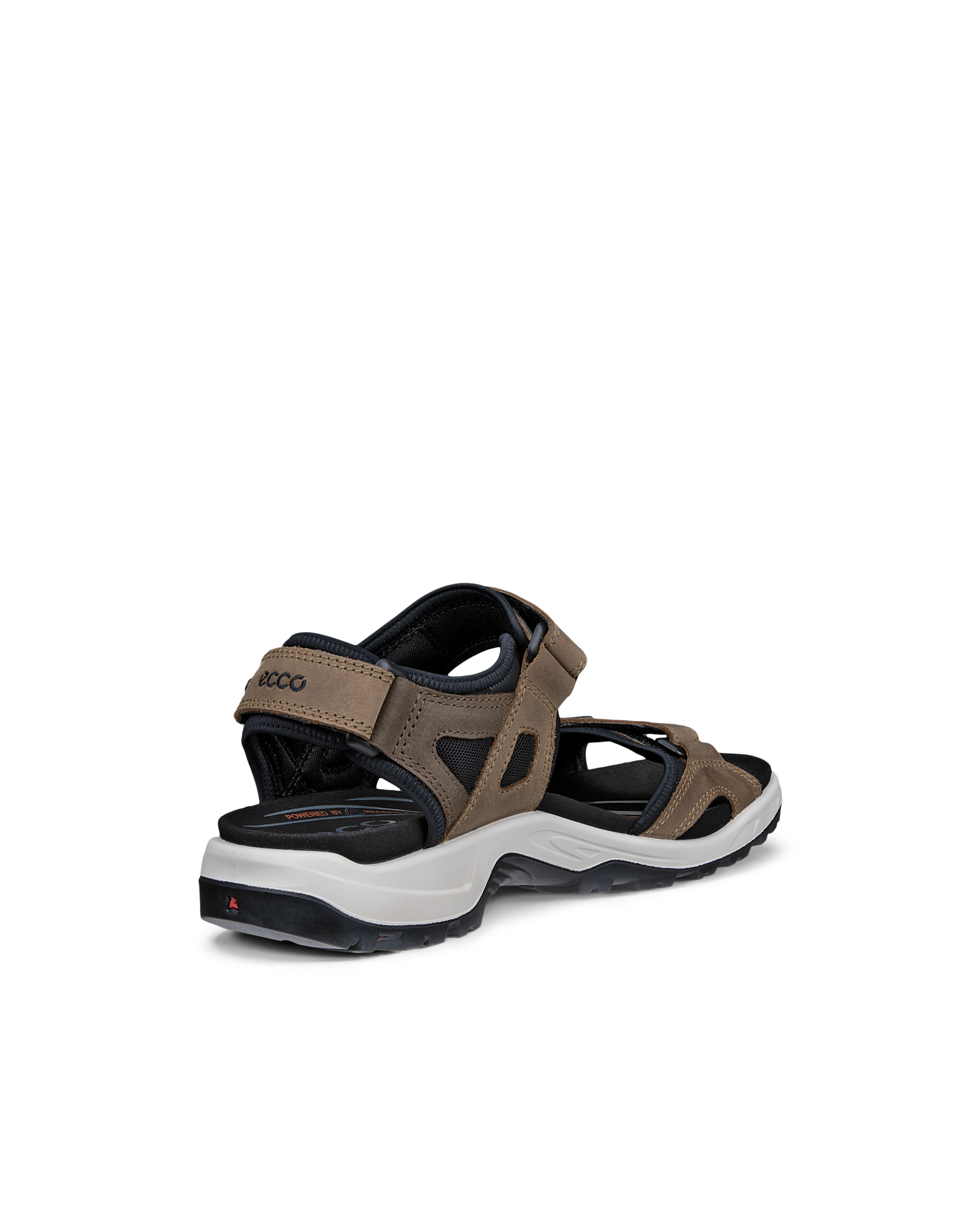 ECCO Offroad — Brown