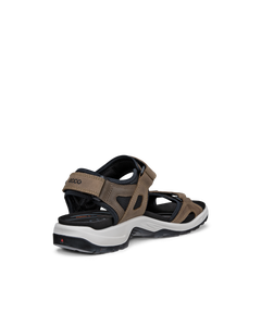 ECCO Offroad — Brown 3