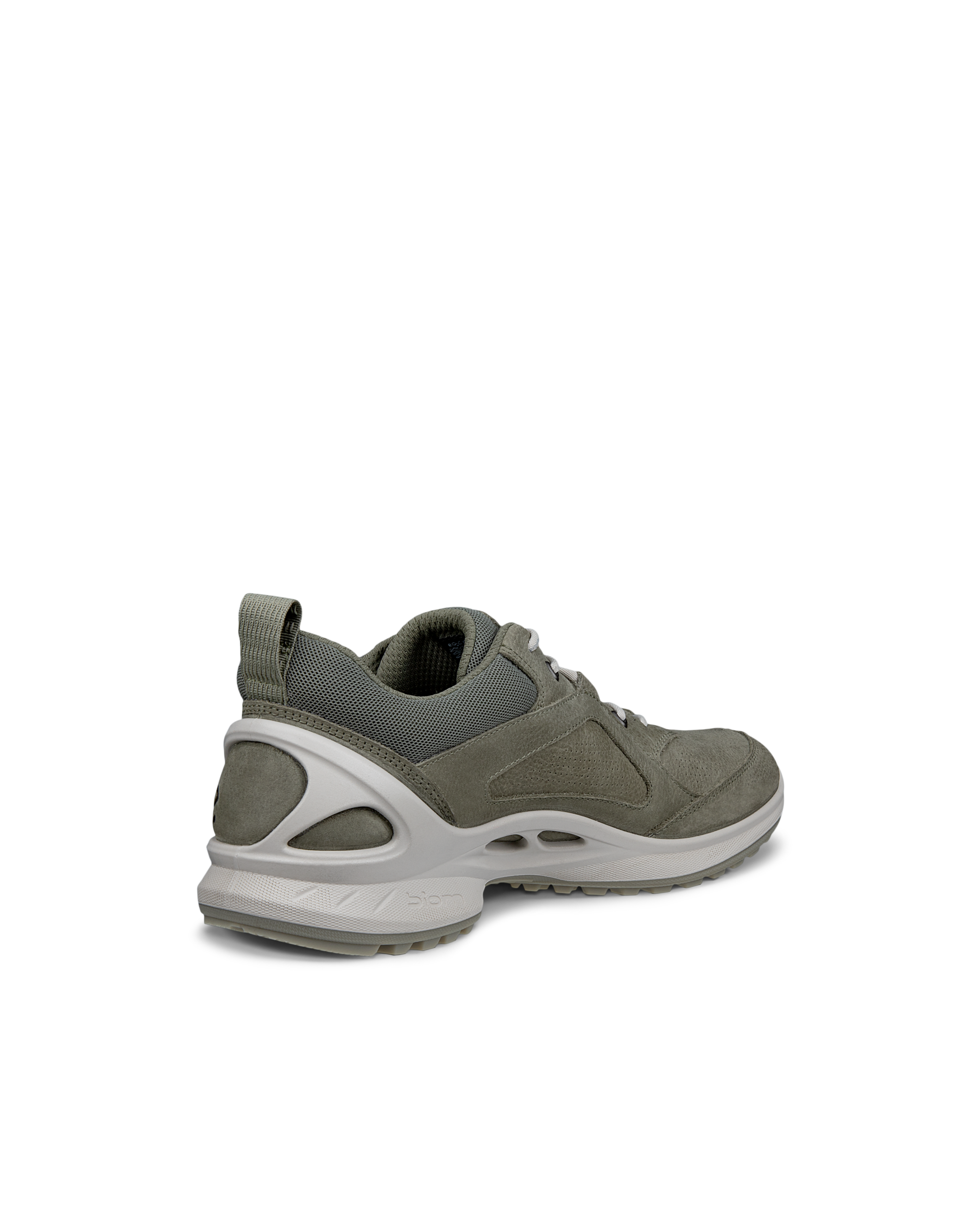 ECCO BIOM ENERGI — Green