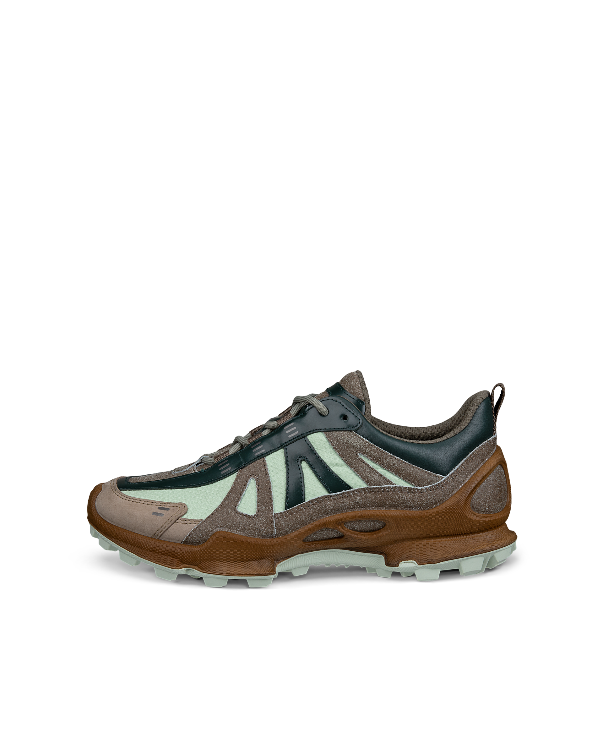 ECCO BIOM C-TRAIL WOMEN ウィメンズ レザー シューズ | グリーン