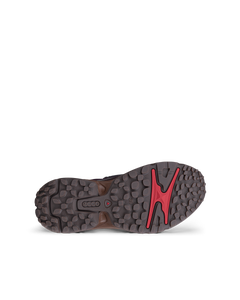 ECCO Receptor Xp — Gray 4