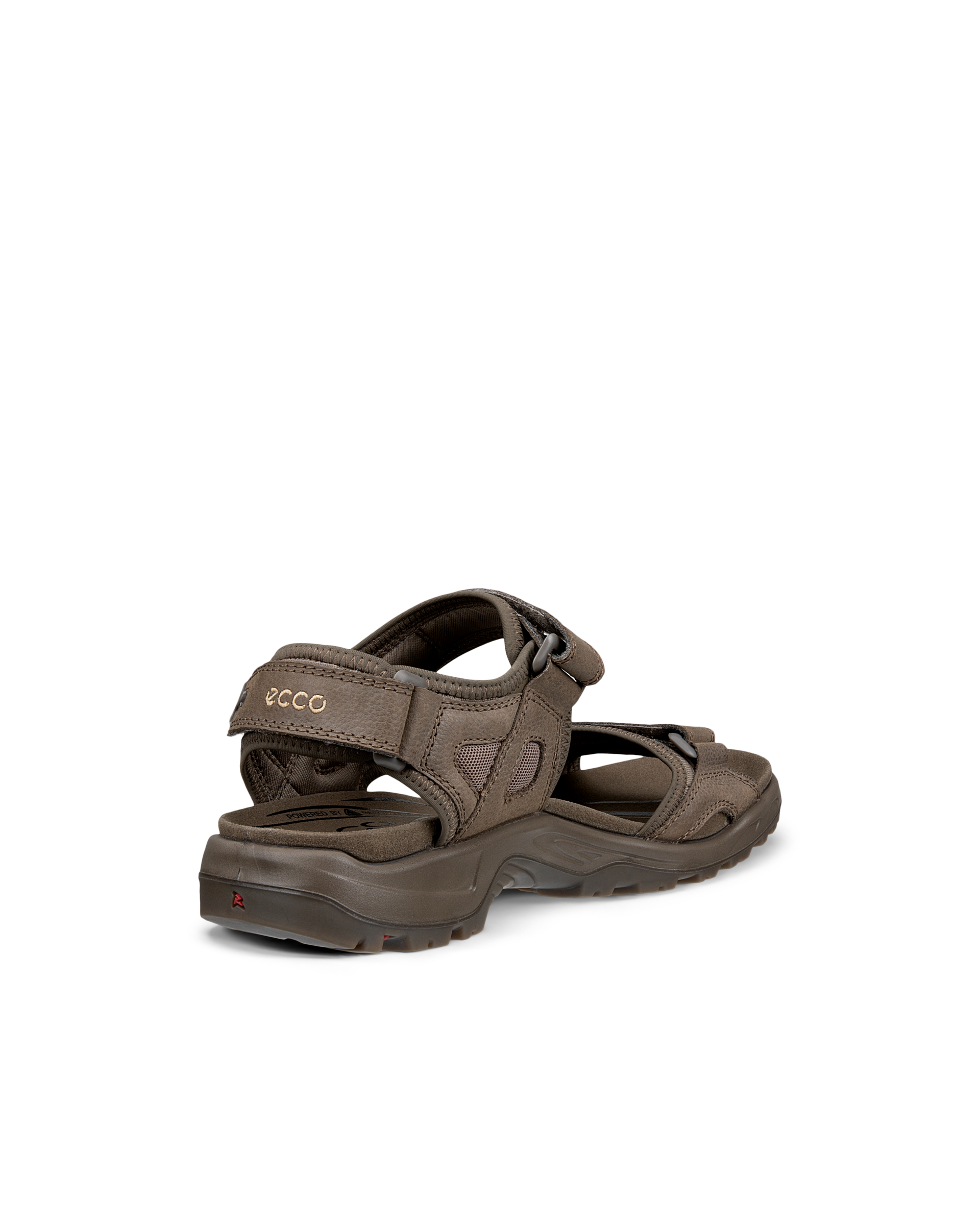 ECCO Offroad — Brown