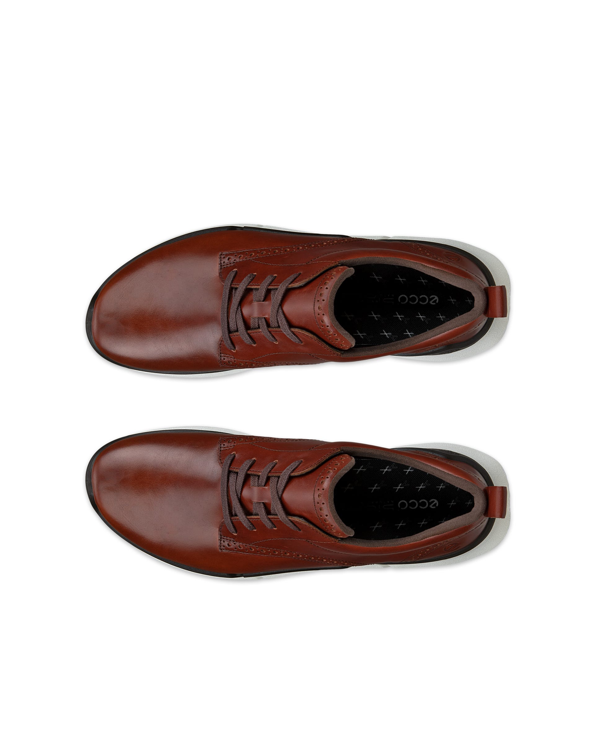 Men's ECCO® Biom 2.2 Leather Sneaker - Brown - Top left pair