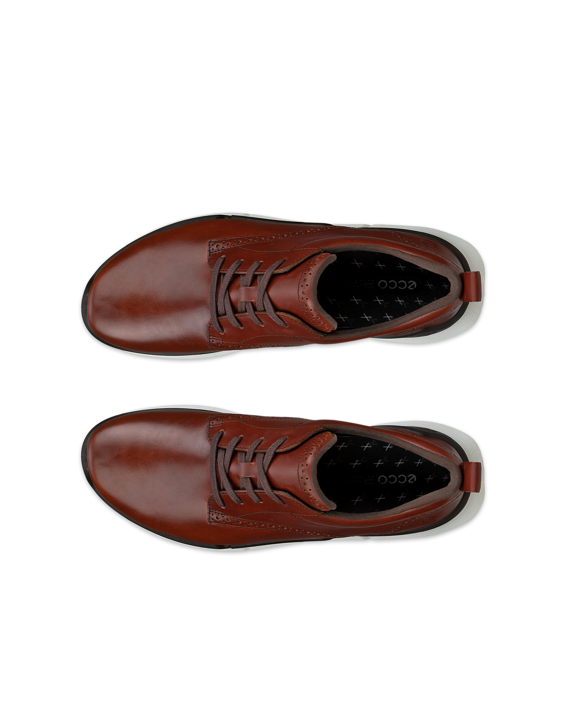 ECCO Biom 2.2 — Brown
