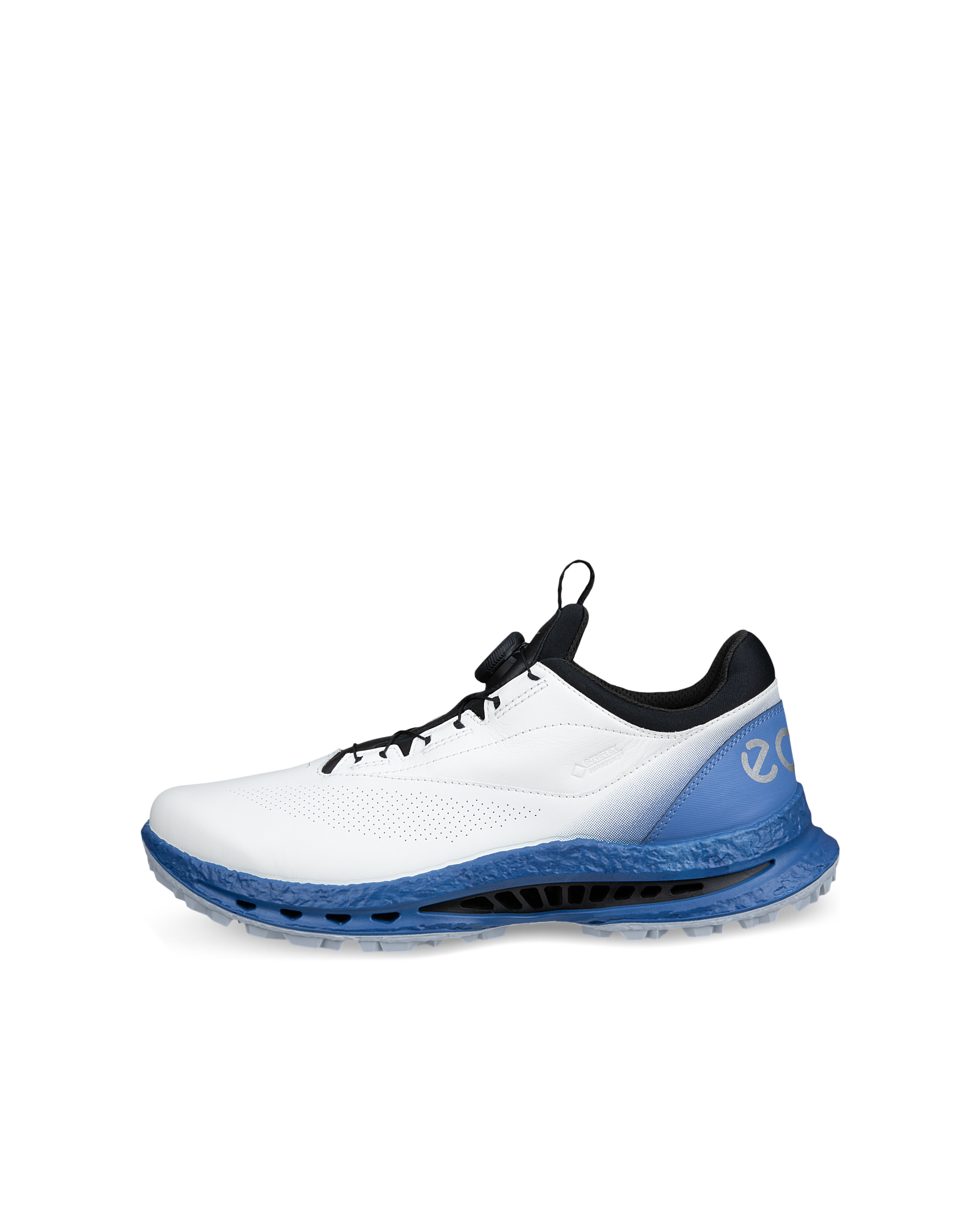 Men's ECCO® Golf Biom C5 Leather Gore-Tex Golf Shoe | White