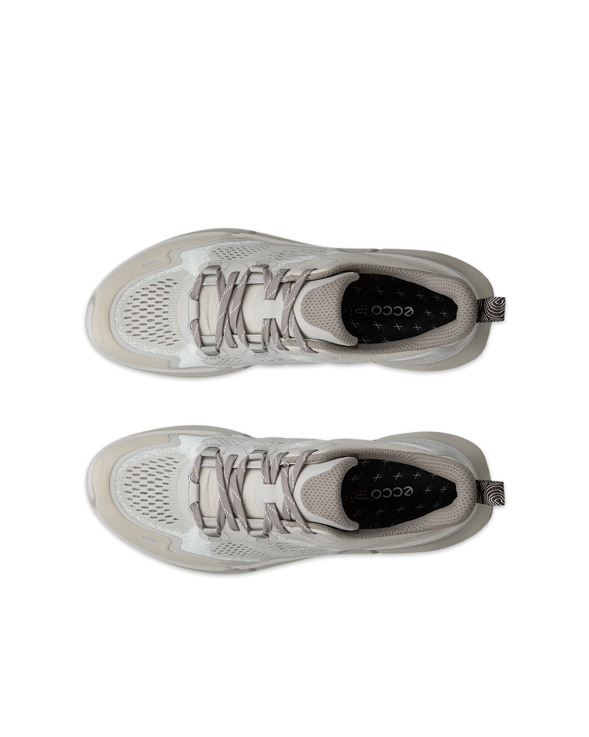 ECCO BIOM 2.2 — Grey