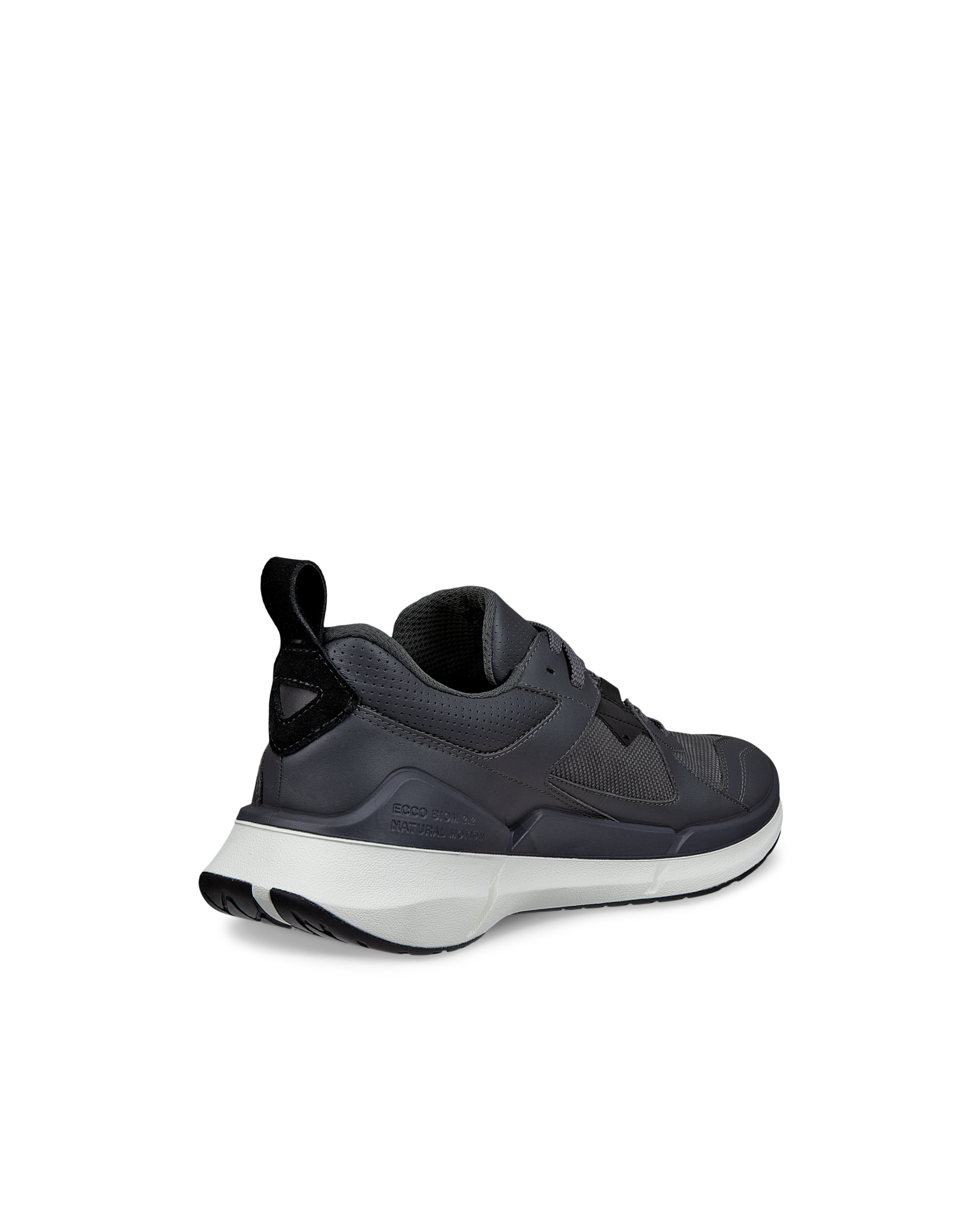 ECCO BIOM 2.2 — Grey