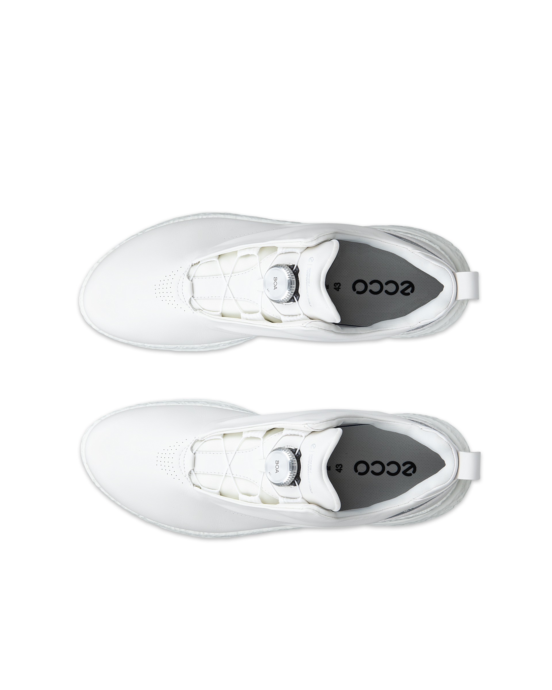 ECCO GOLF BIOM C5 — White