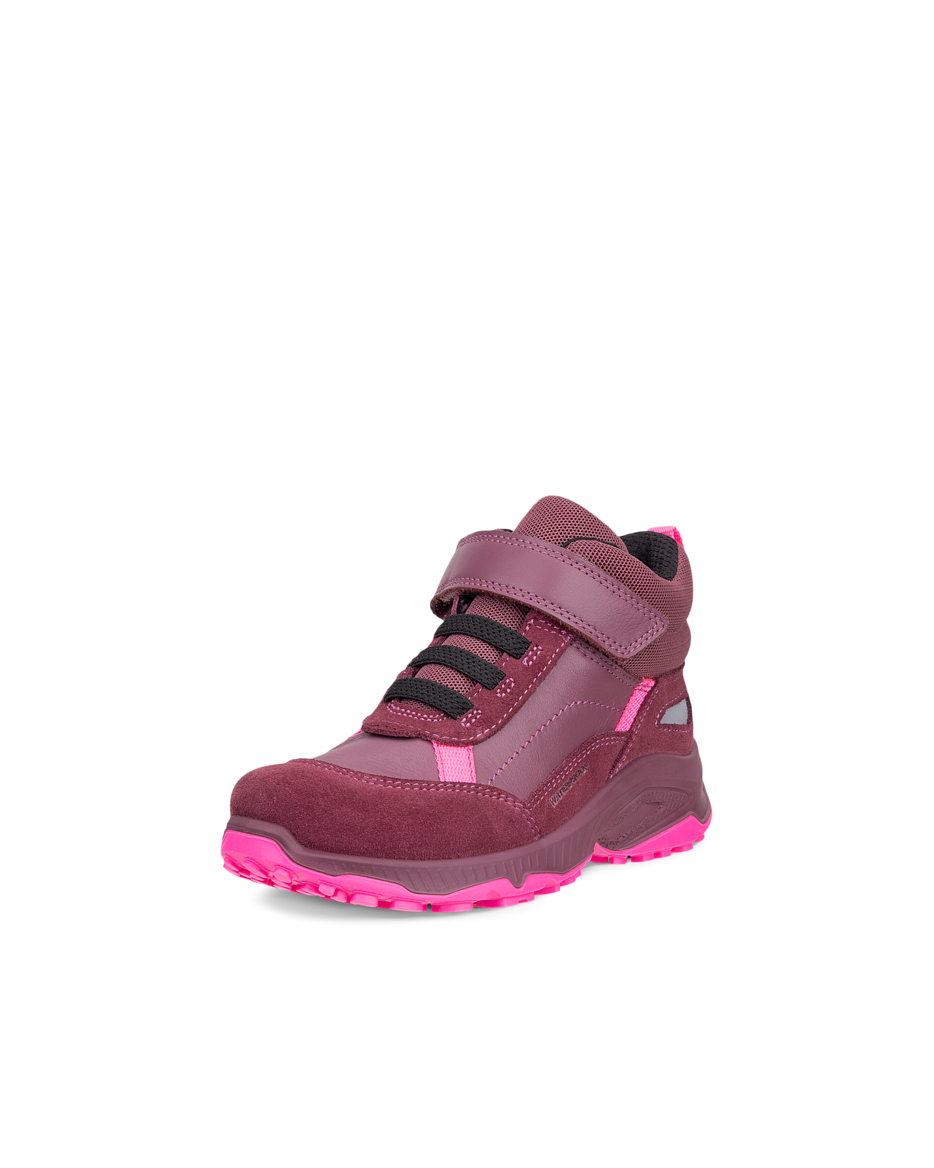 ECCO RECEPTOR XP — Pink