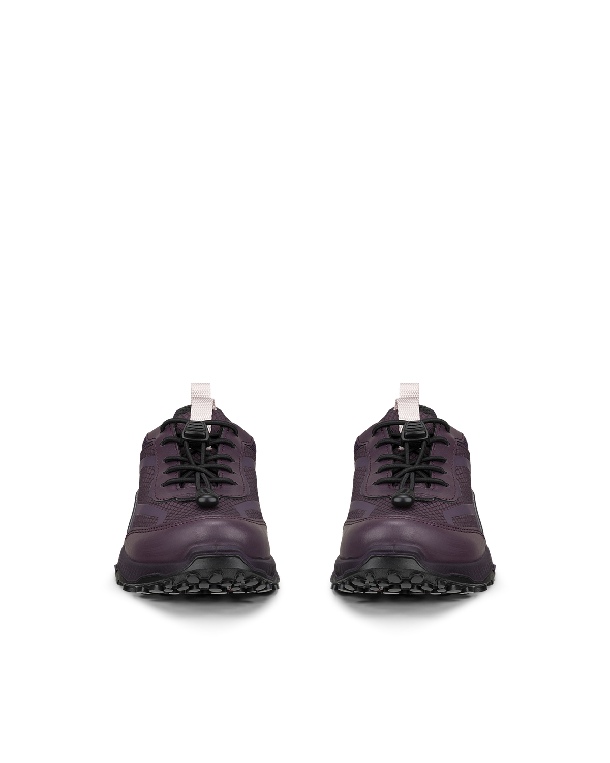 ECCO RECEPTOR XP — Purple