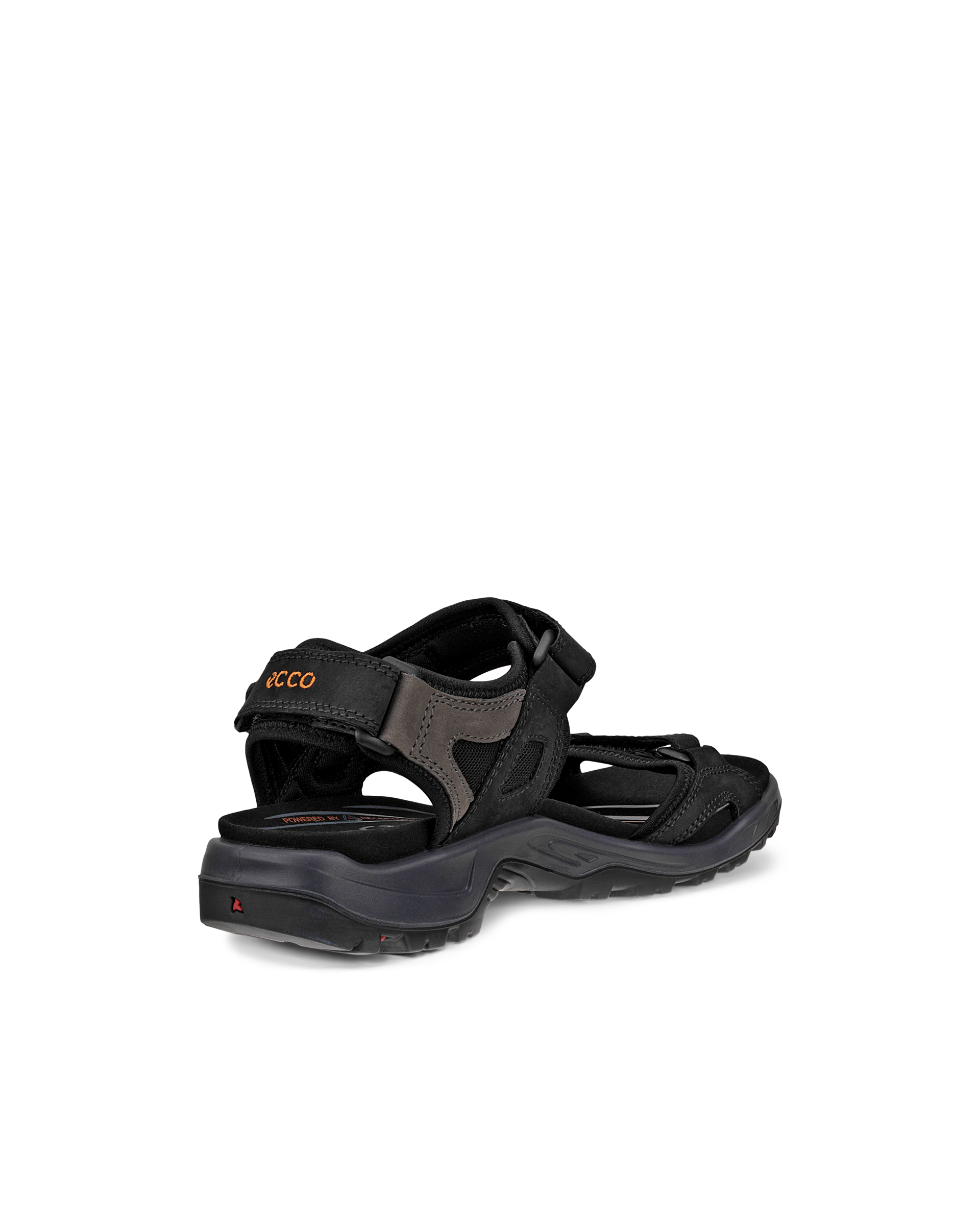 ECCO Offroad メンズ ヌバックハイキングサンダル - ブラック - Back