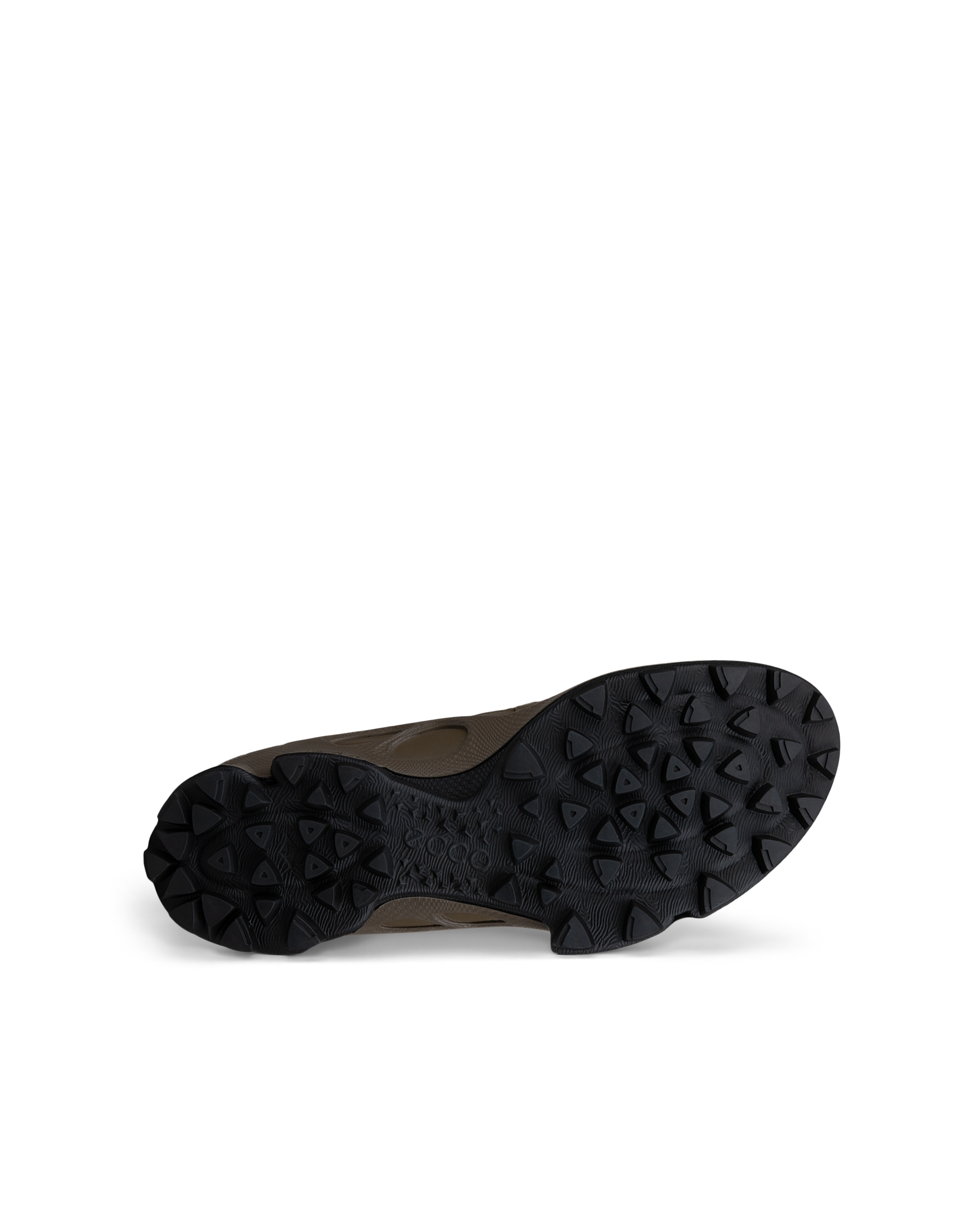 ECCO Biom C-Trail — Brown