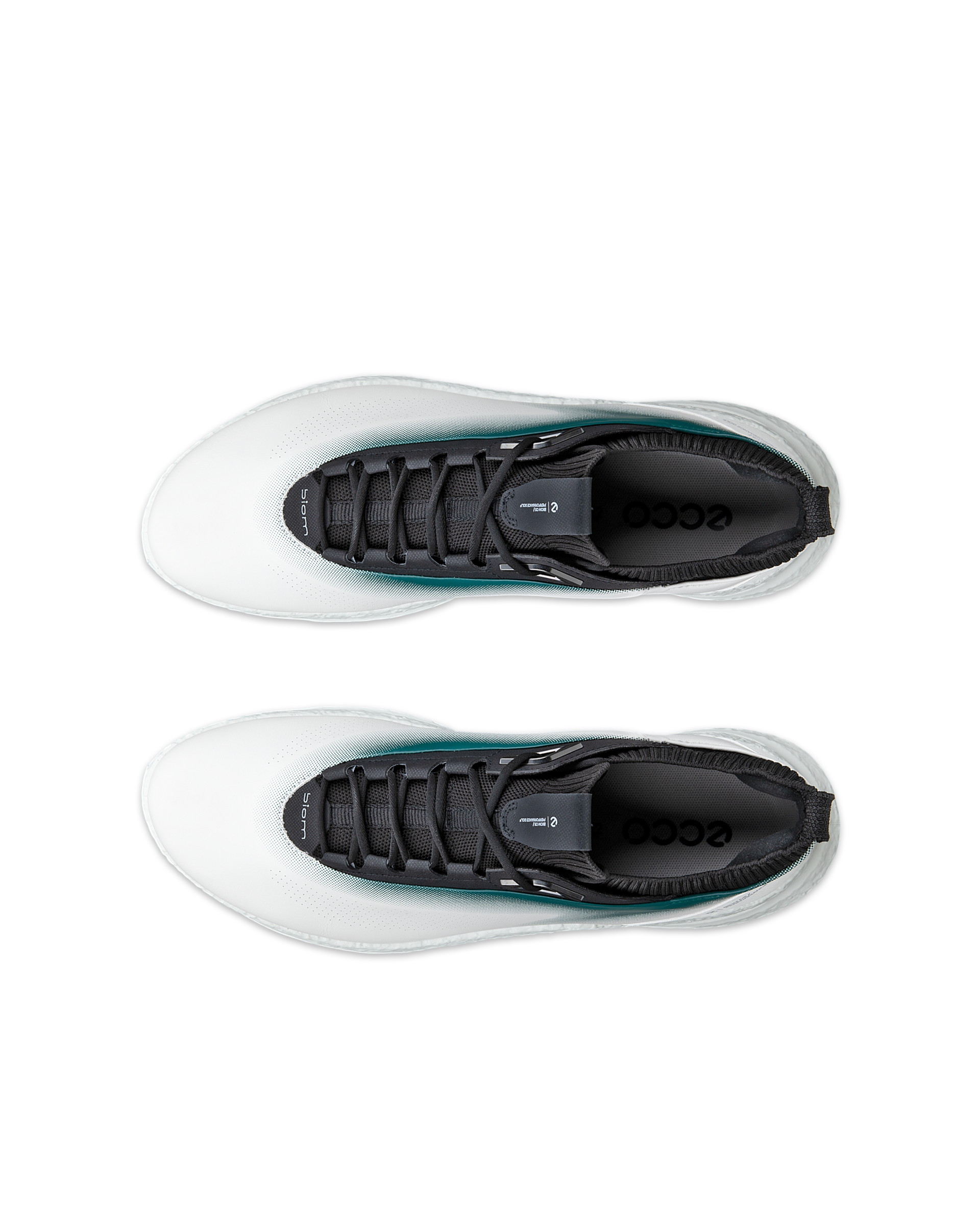 ECCO GOLF BIOM C5 MEN メンズ レザーGore-Texゴルフシューズ | ホワイト