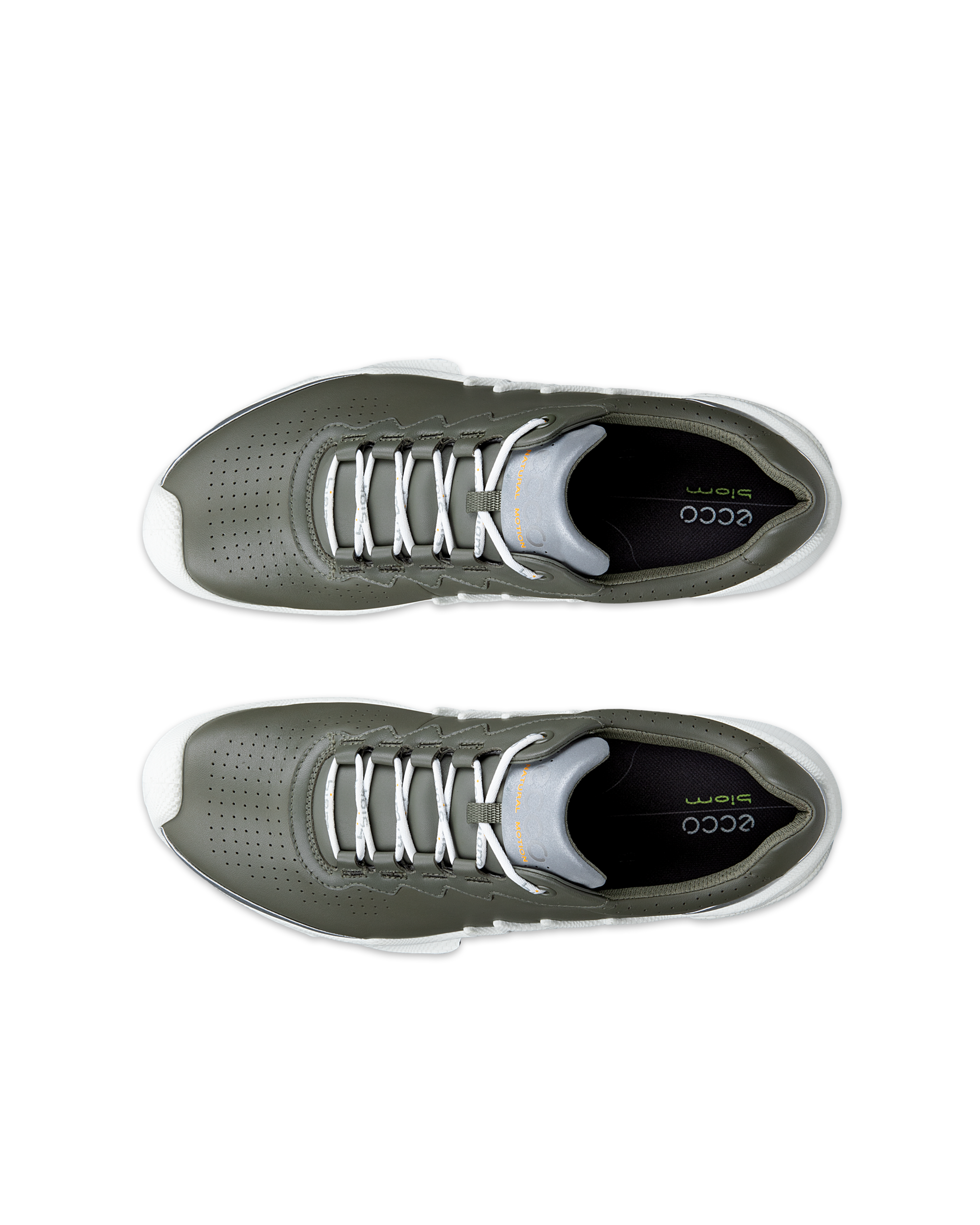 ECCO BIOM AEX — Green