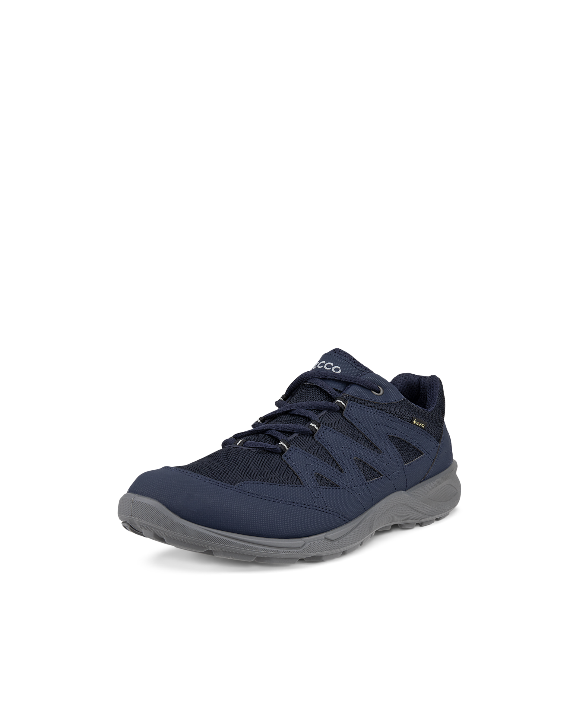 ECCO TERRACRUISE LT — Blue