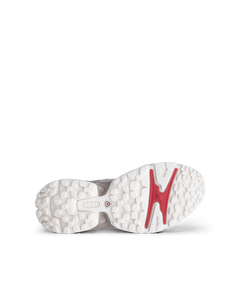 ECCO Receptor Xp — Gray 4