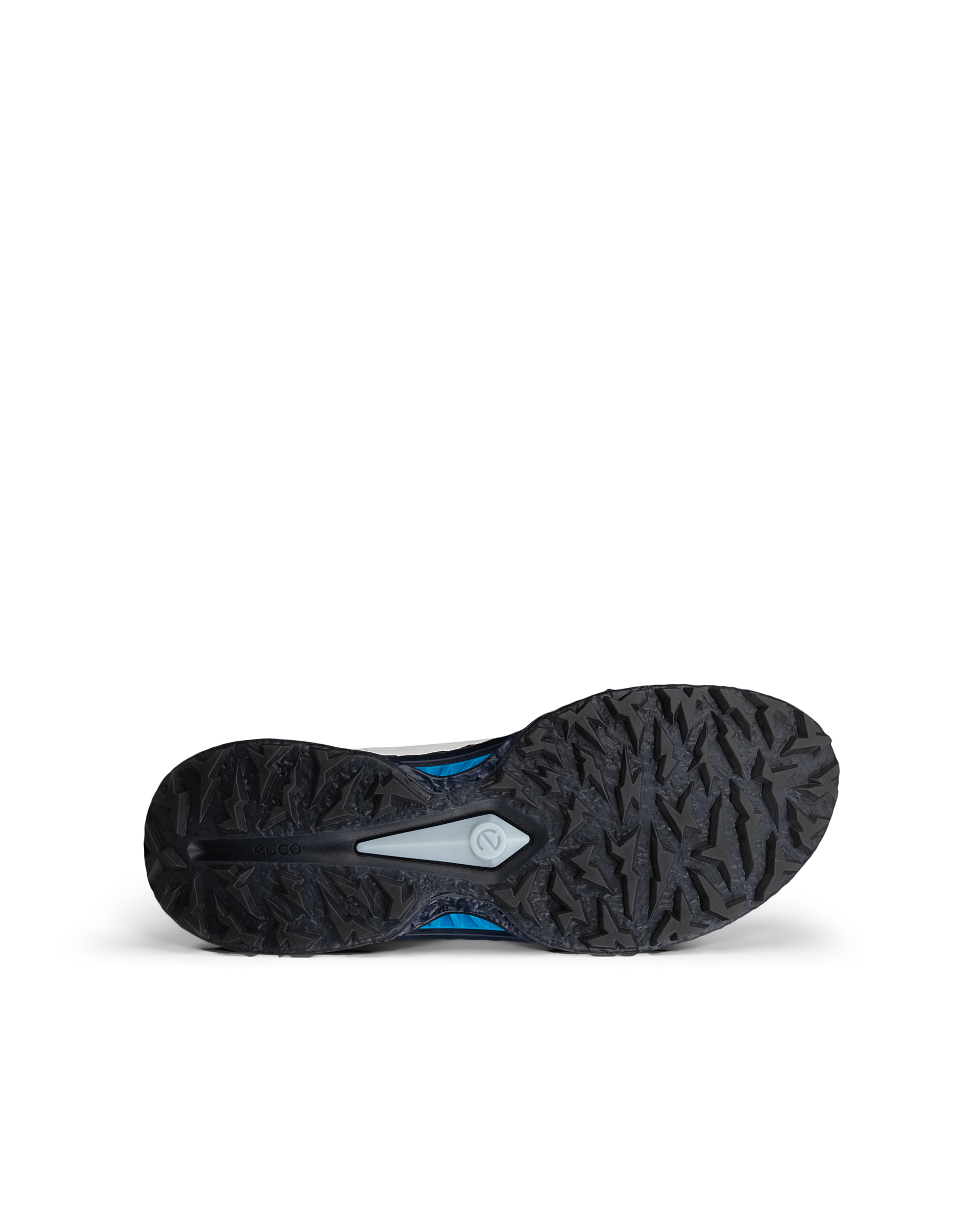 ECCO GOLF BIOM C5 MEN メンズ レザーGore-Texゴルフシューズ | ホワイト