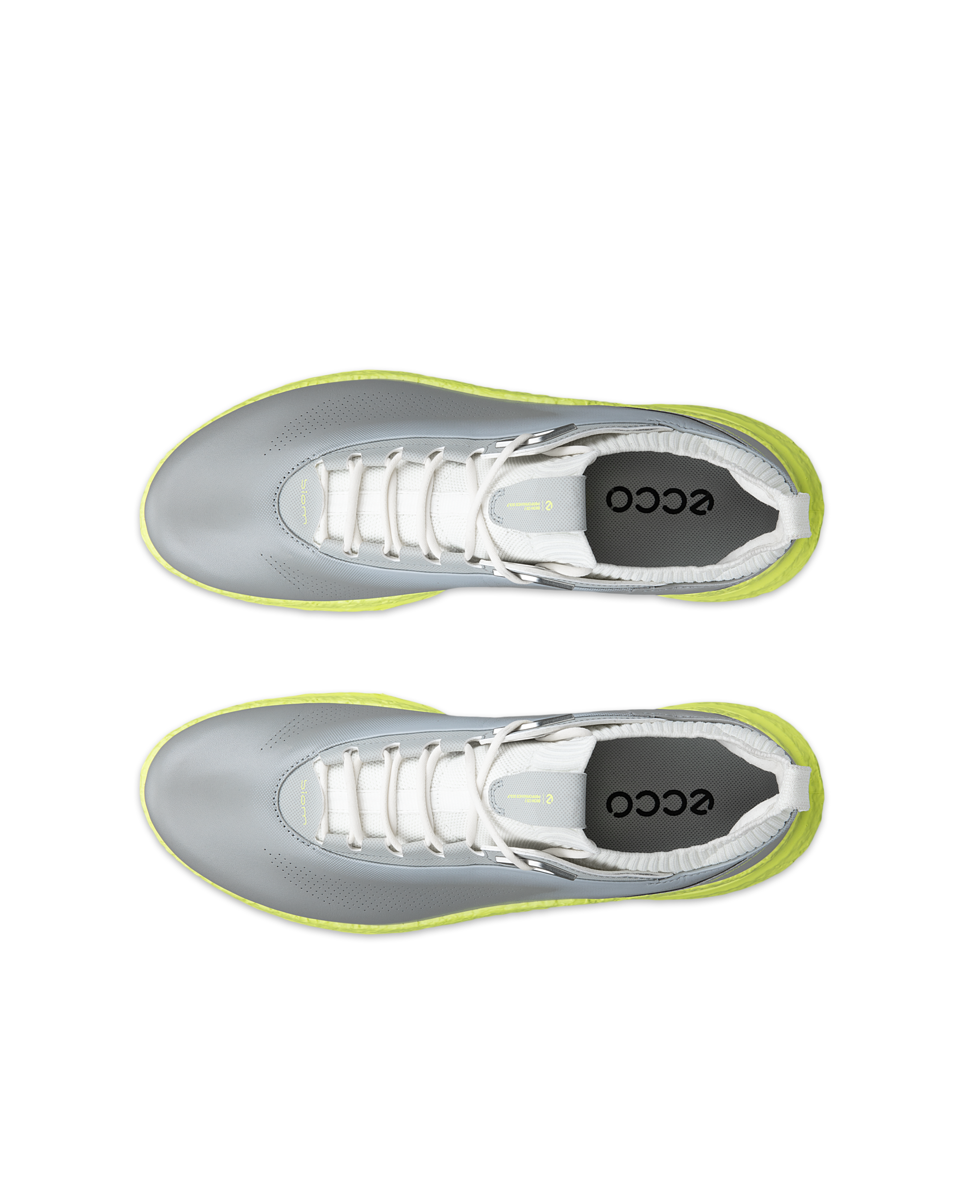 Men's ECCO® Golf Biom C5 Leather Gore-Tex Golf Shoe | Gray