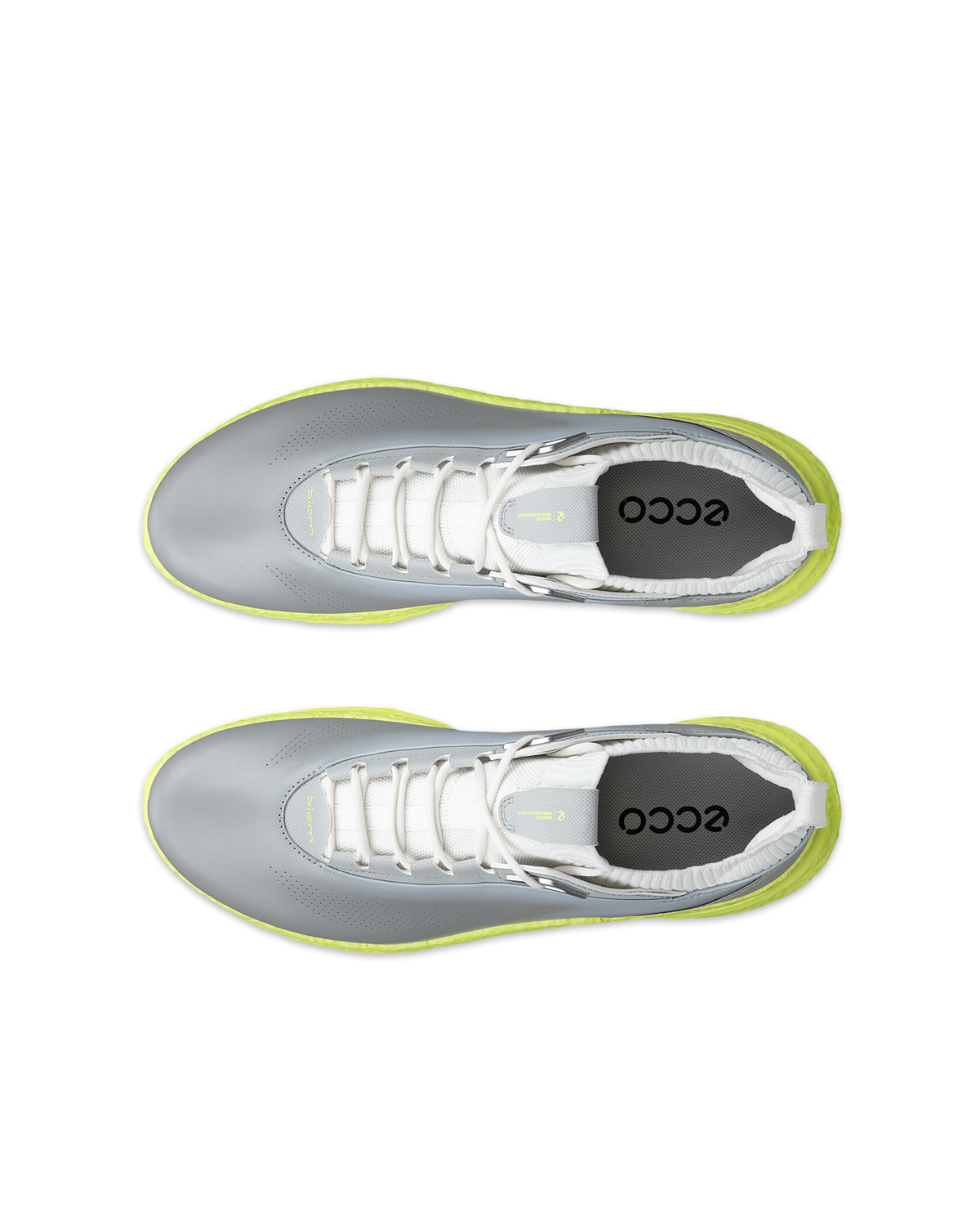 ECCO Golf Biom C5 — Gray