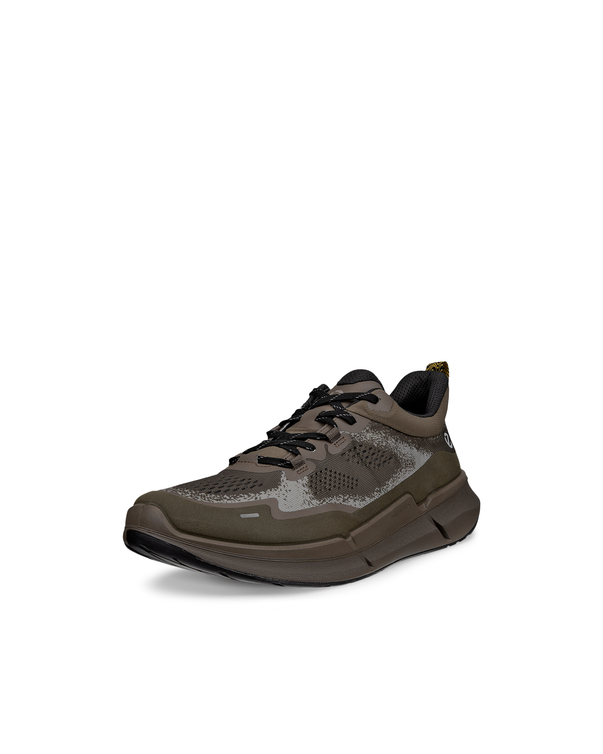 ECCO BIOM 2.2 — Grey