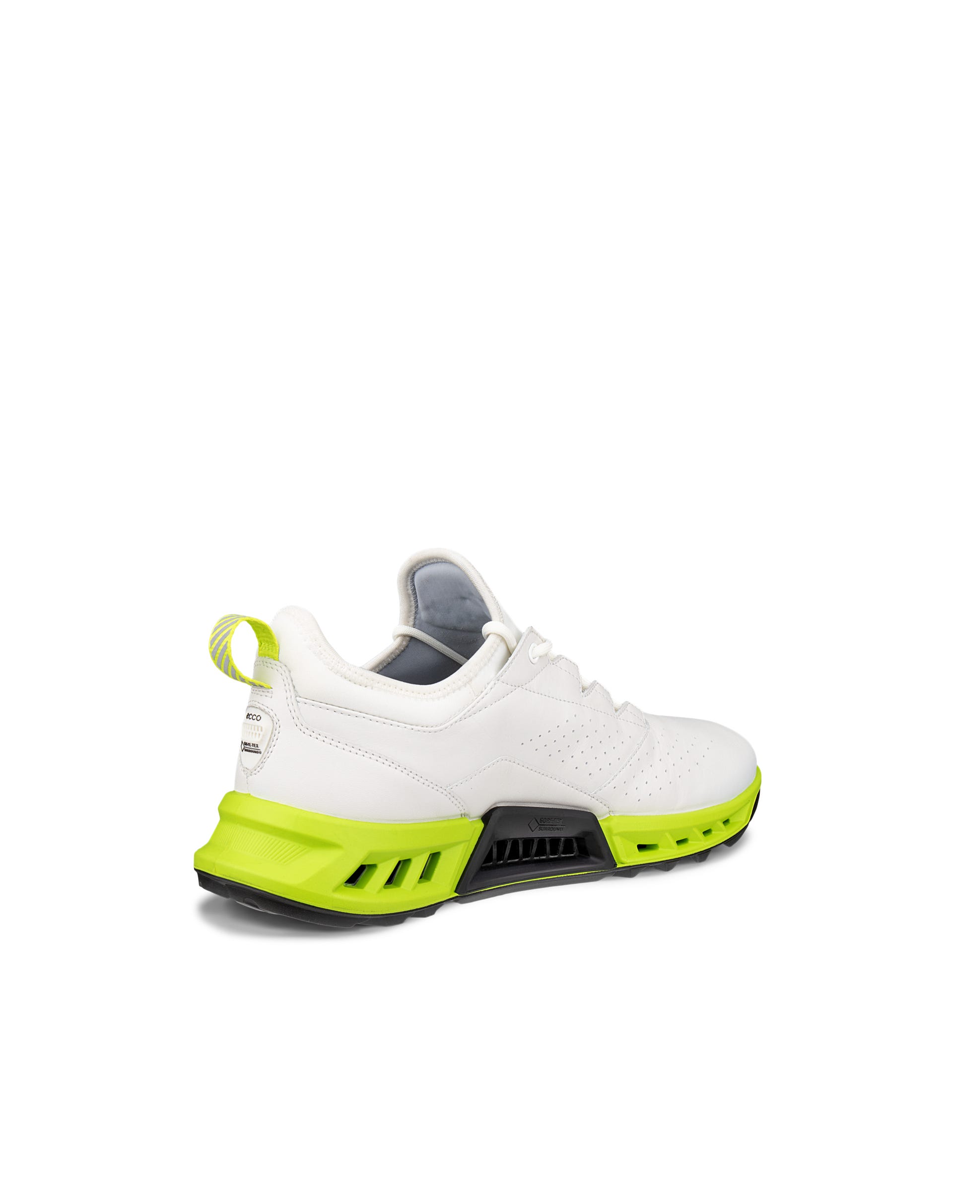 専用　ECCO M GOLF BIOM C4 ゴルフシューズ EU 40 エコー（ecco）（メンズ）ゴルフシューズ GOLF BIOM C4 SHOE BOA