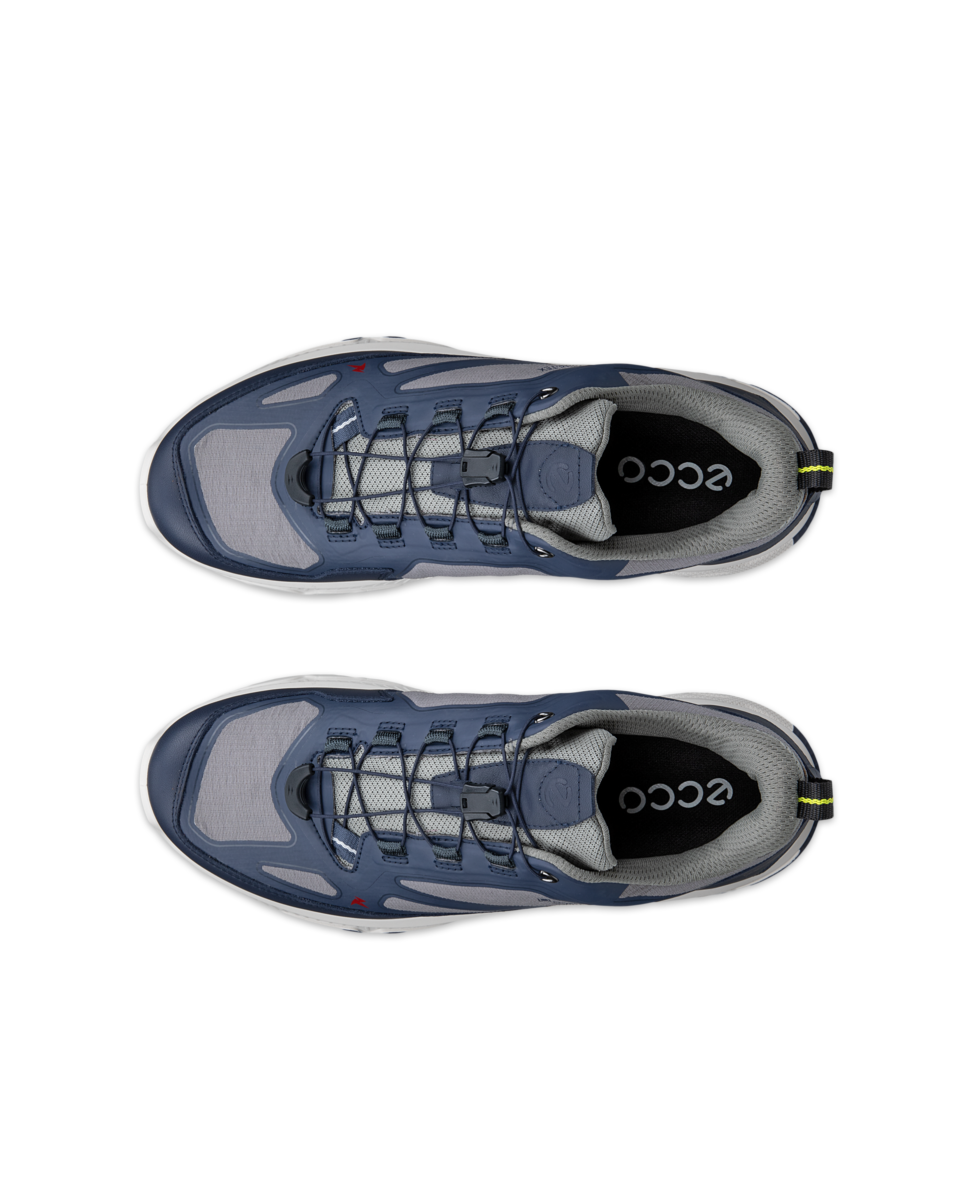 ECCO Receptor XP — Blue