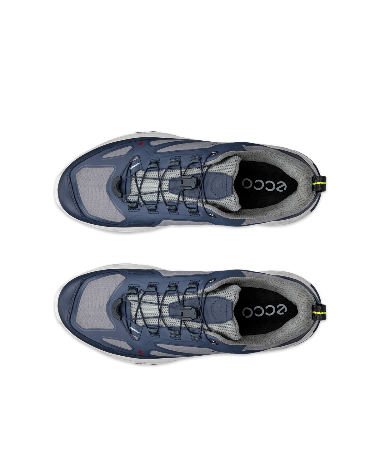 ECCO Receptor XP — Blue