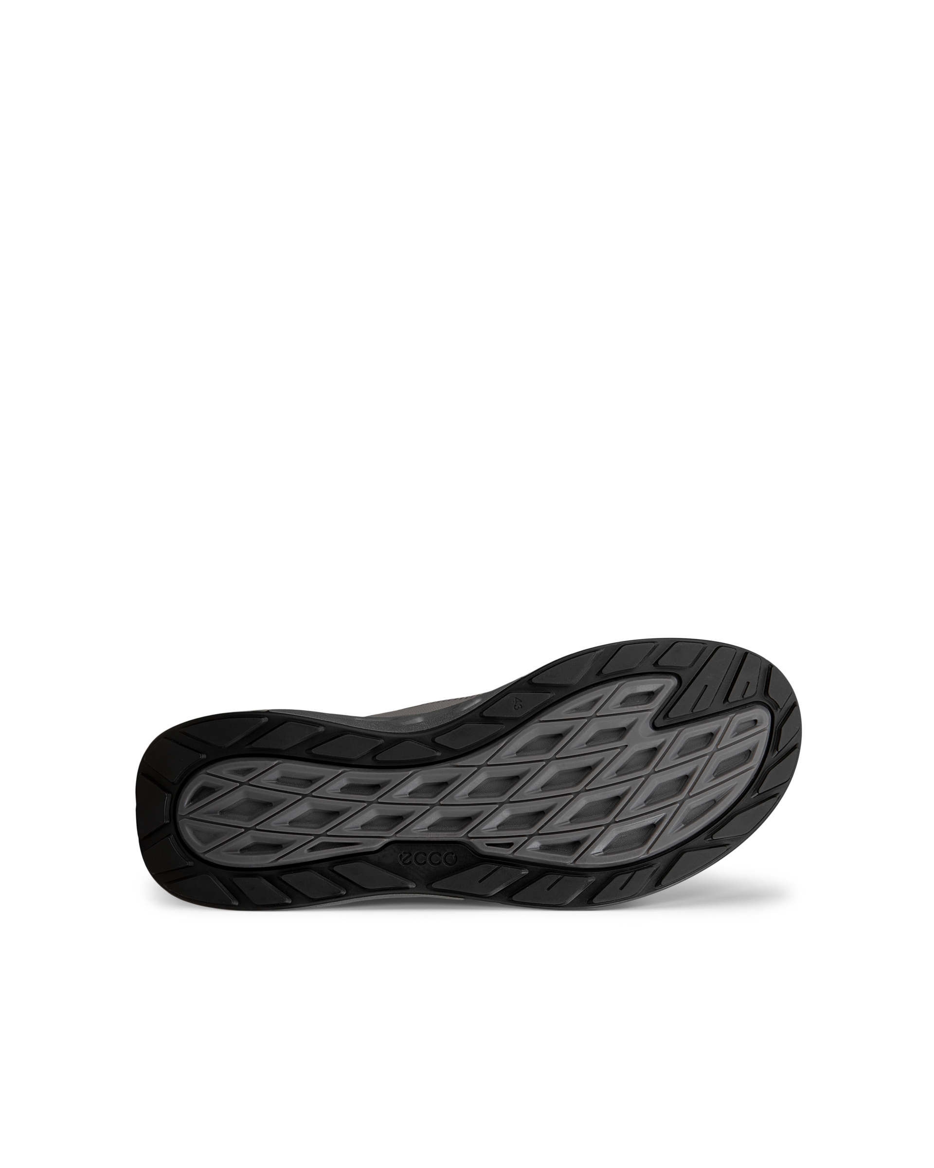 ECCO Biom 720 Gore-Tex — Gray