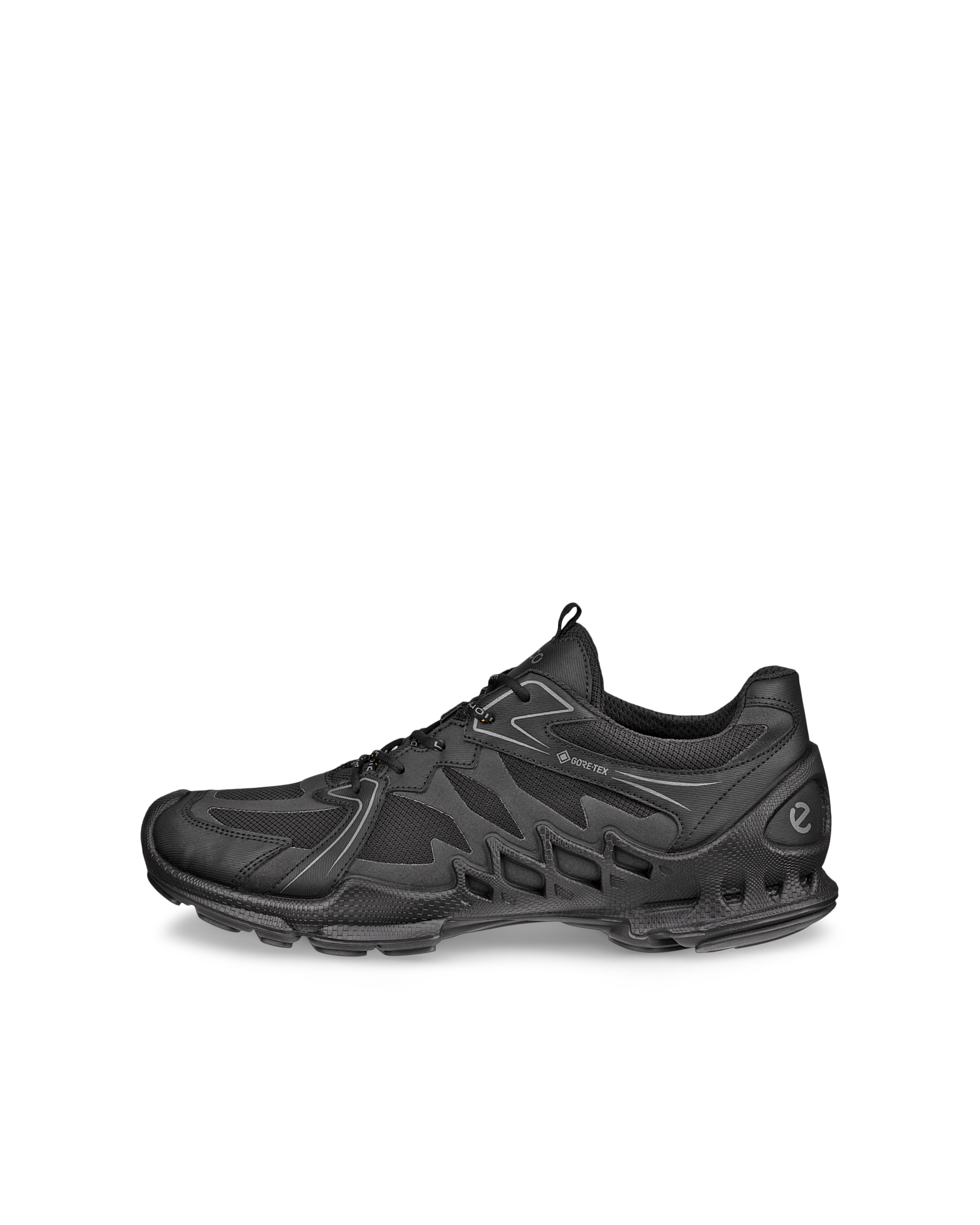 ECCO Biom Aex — Black