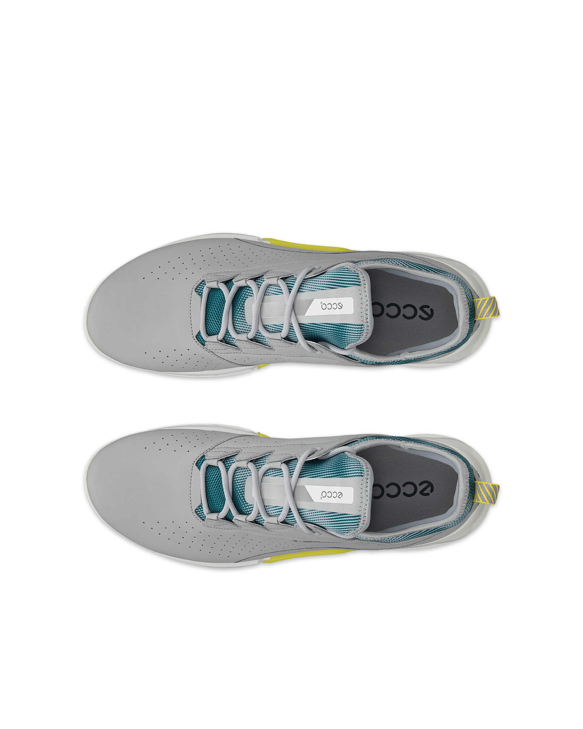 ECCO Golf BIOM C4 Men メンズ レザーGore-Texゴルフシューズ | グレー