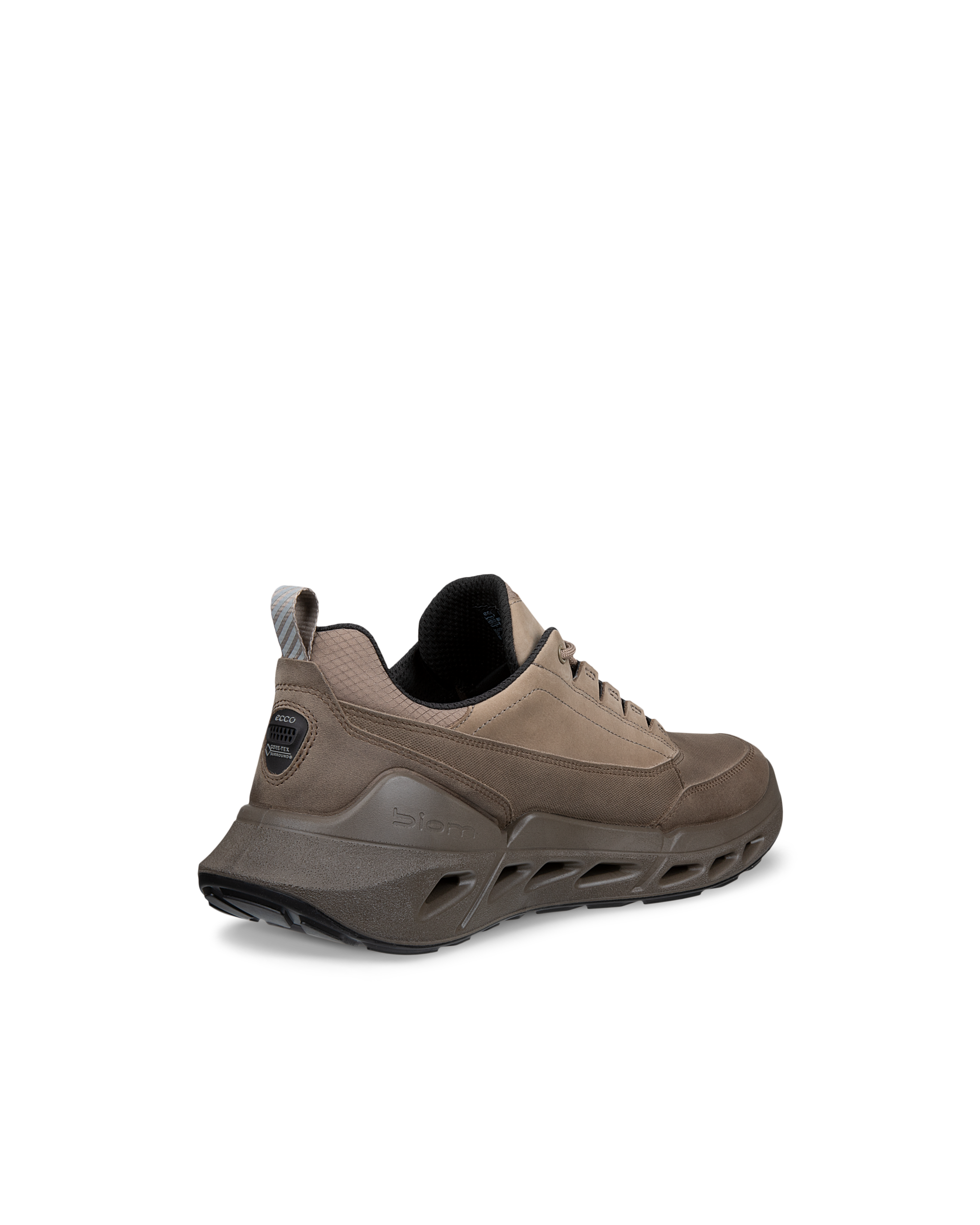 ECCO Biom 720 Gore-Tex — Brown