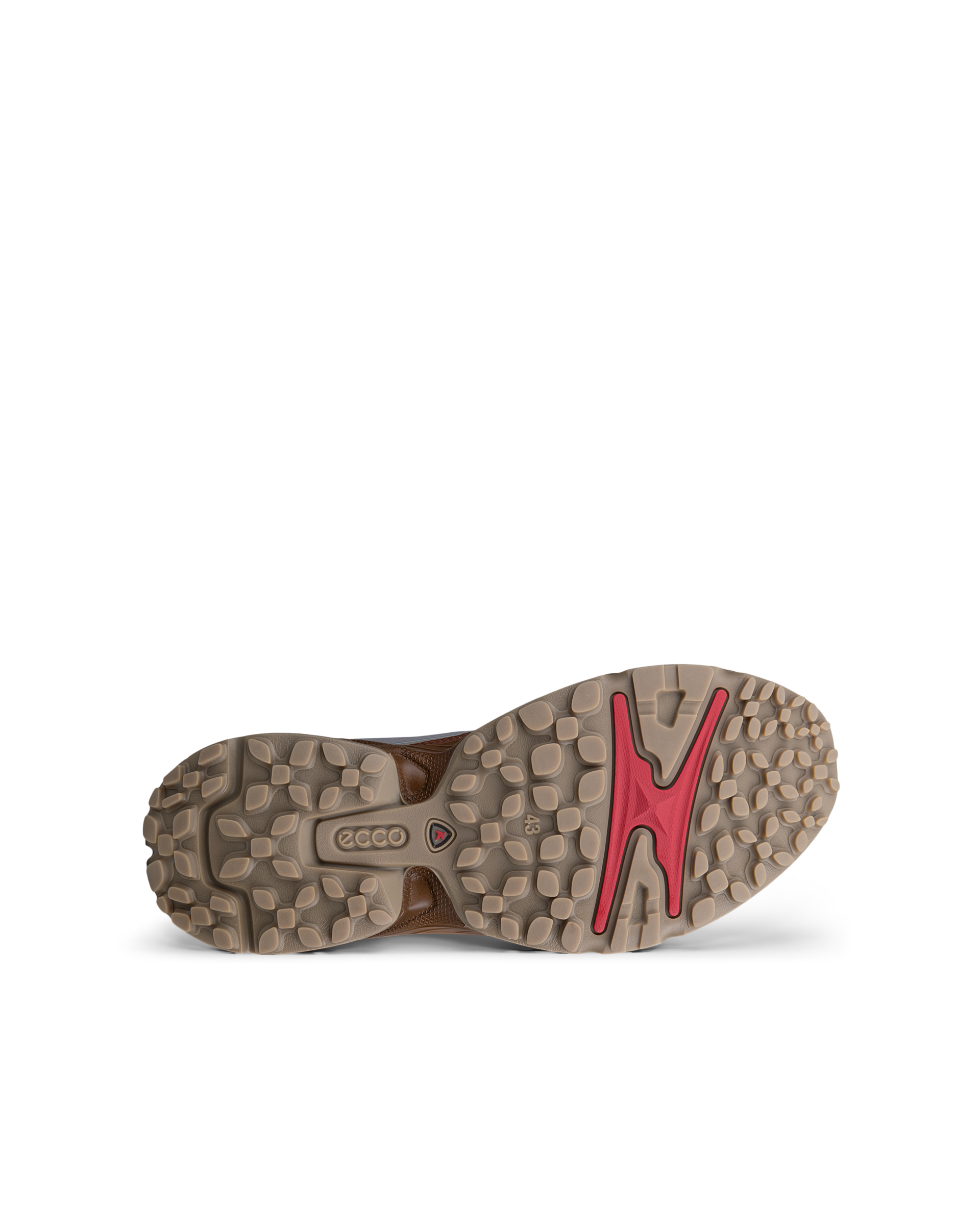 ECCO Receptor Xp — Green
