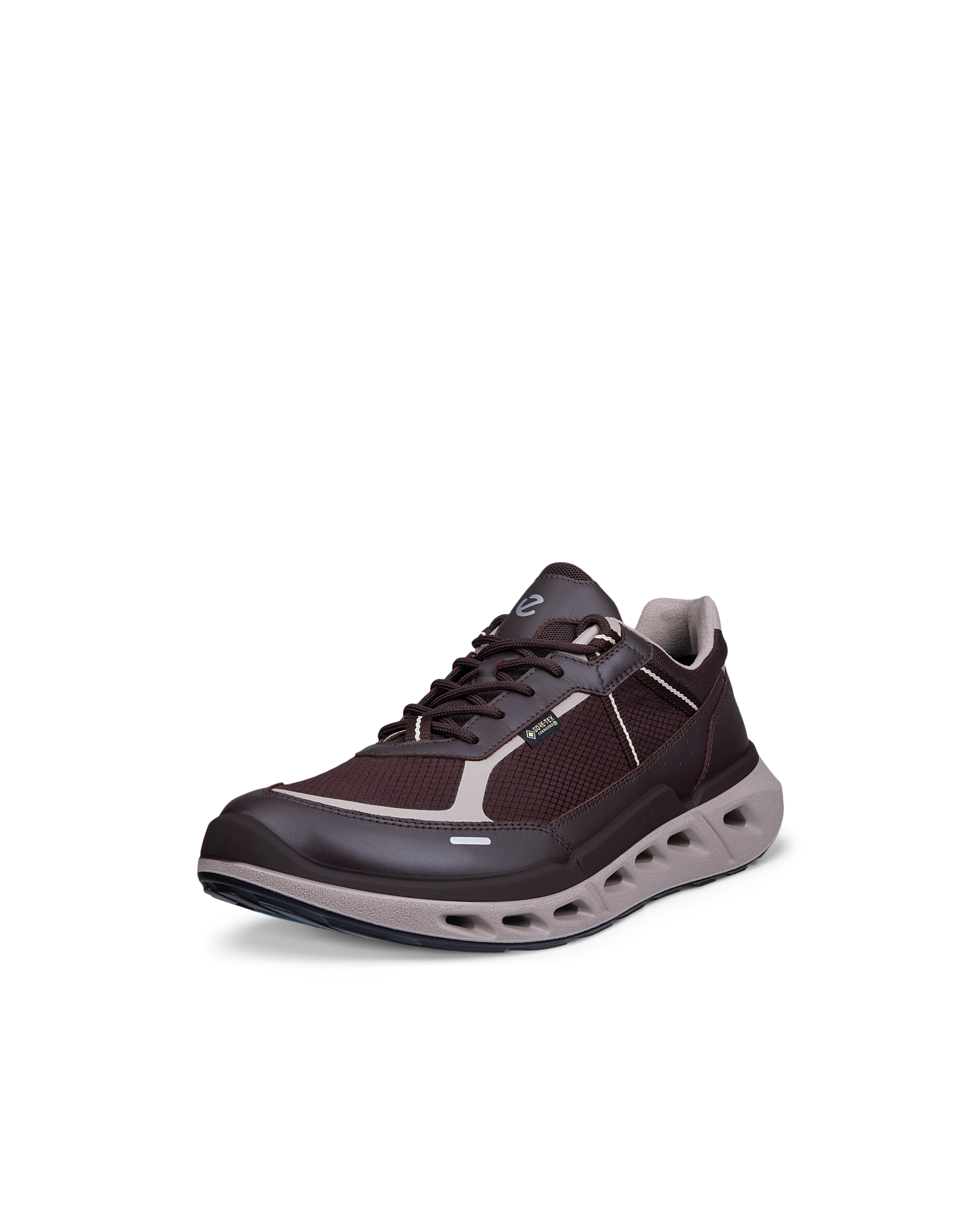 ECCO Biom 720 Gore-Tex — Brown