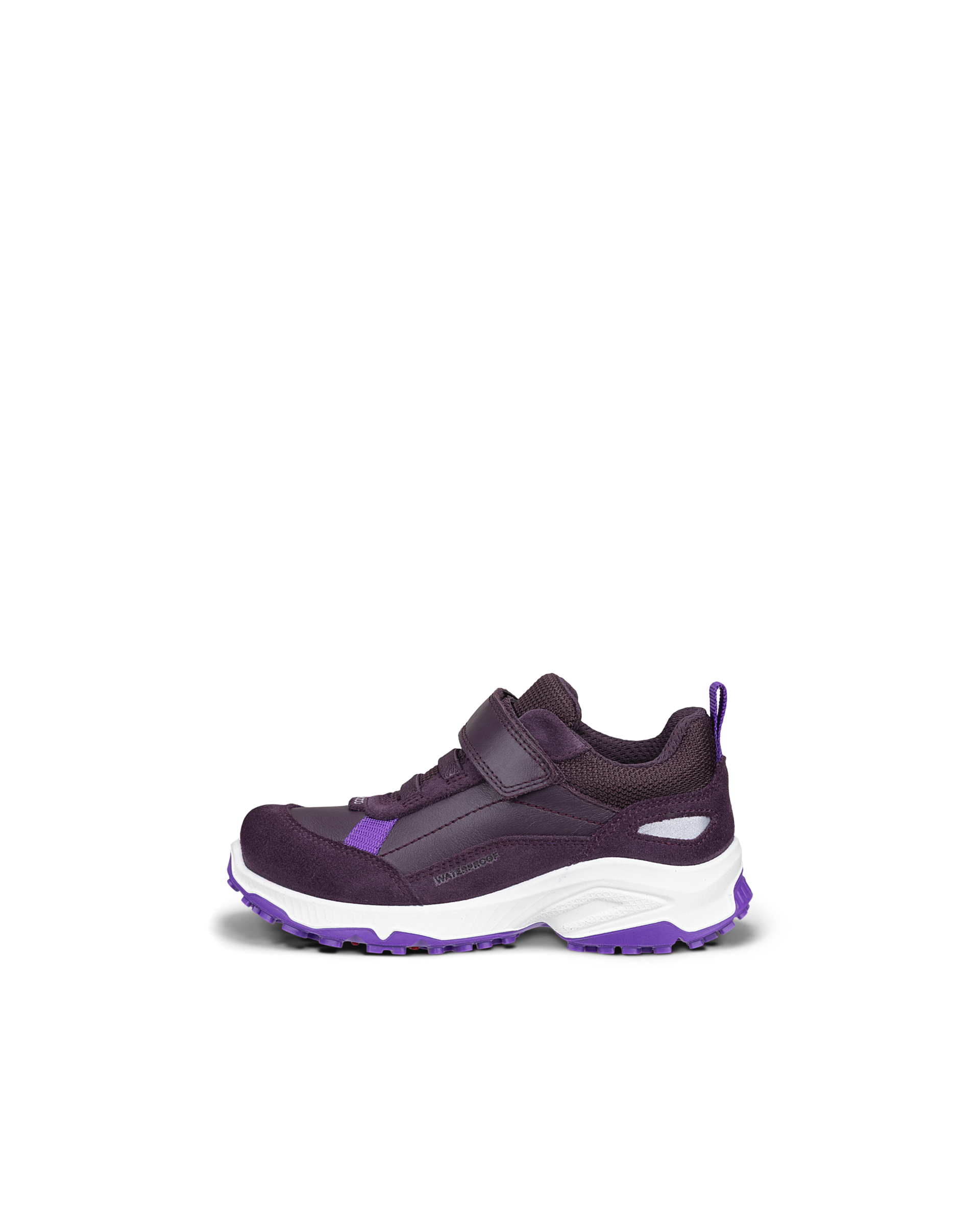 ECCO RECEPTOR XP — Purple