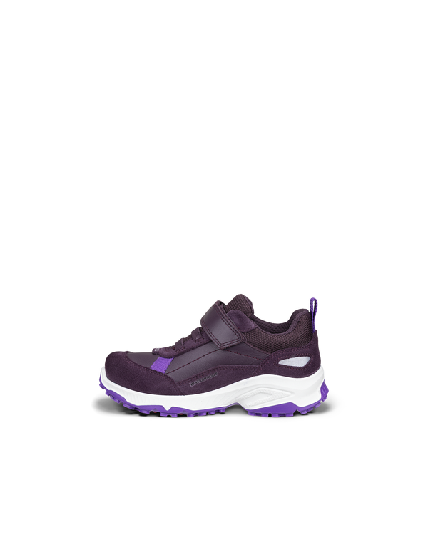ECCO RECEPTOR XP — Purple