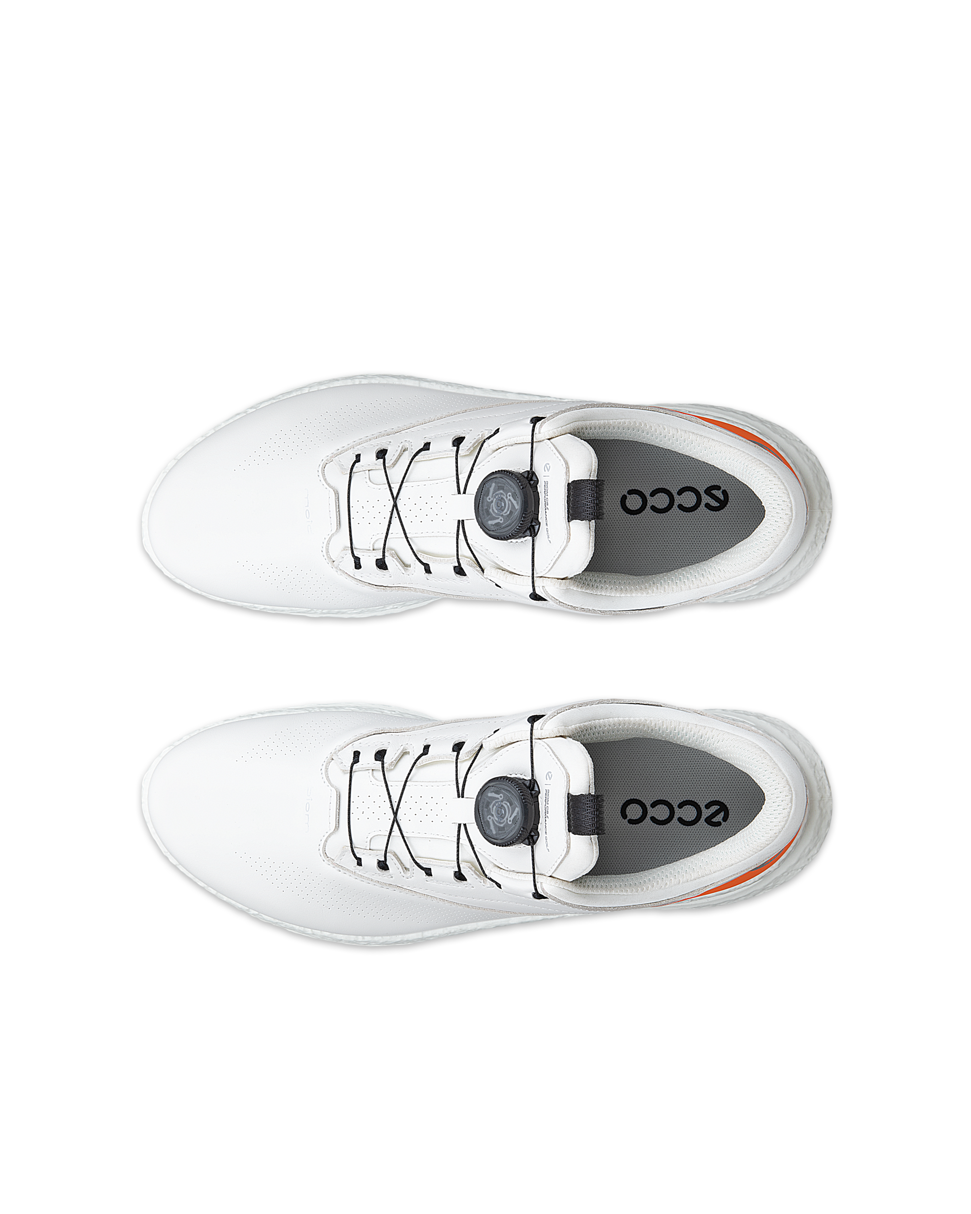 ECCO GOLF BIOM C5 Men メンズ レザーGore-Texゴルフシューズ | ホワイト