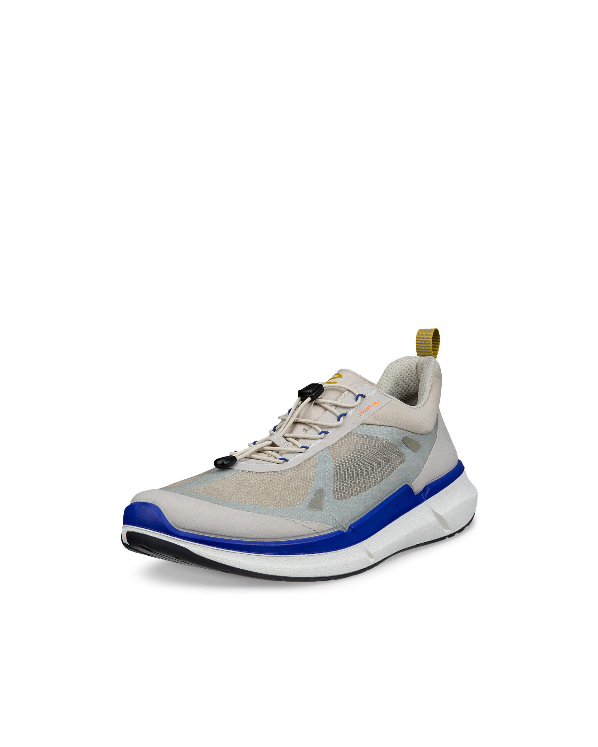 ECCO BIOM 2.2 — Grey
