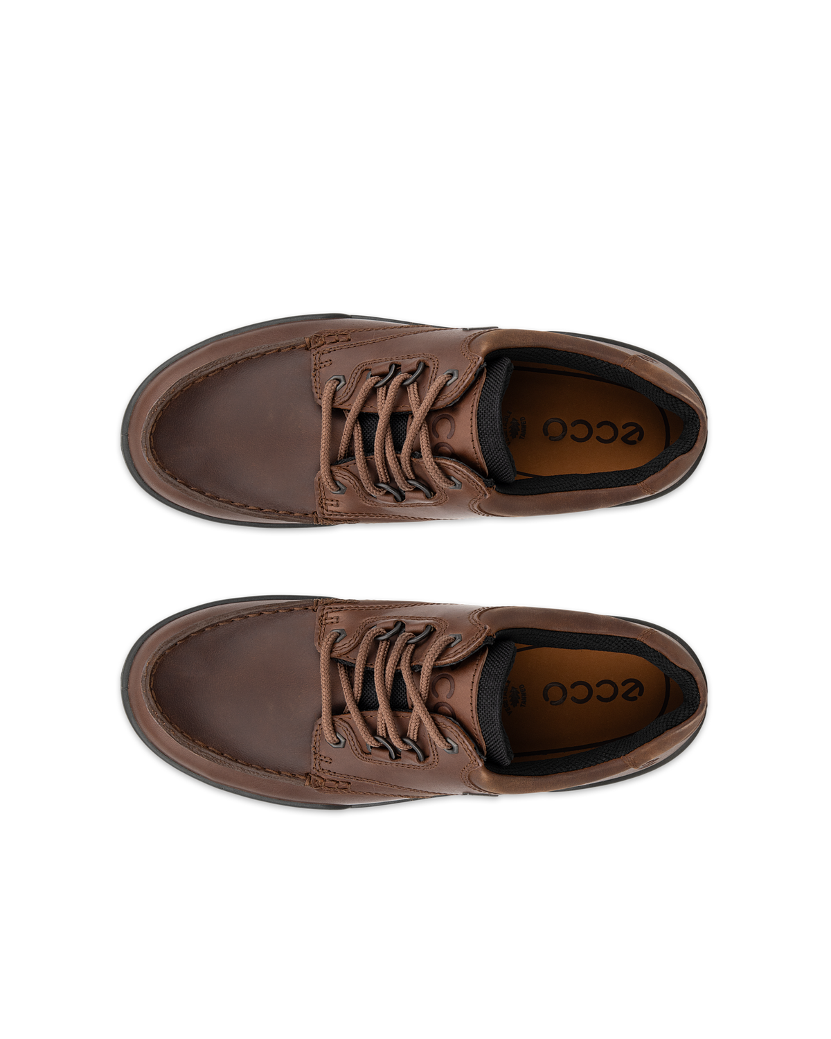 ECCO Track 25 — Brown