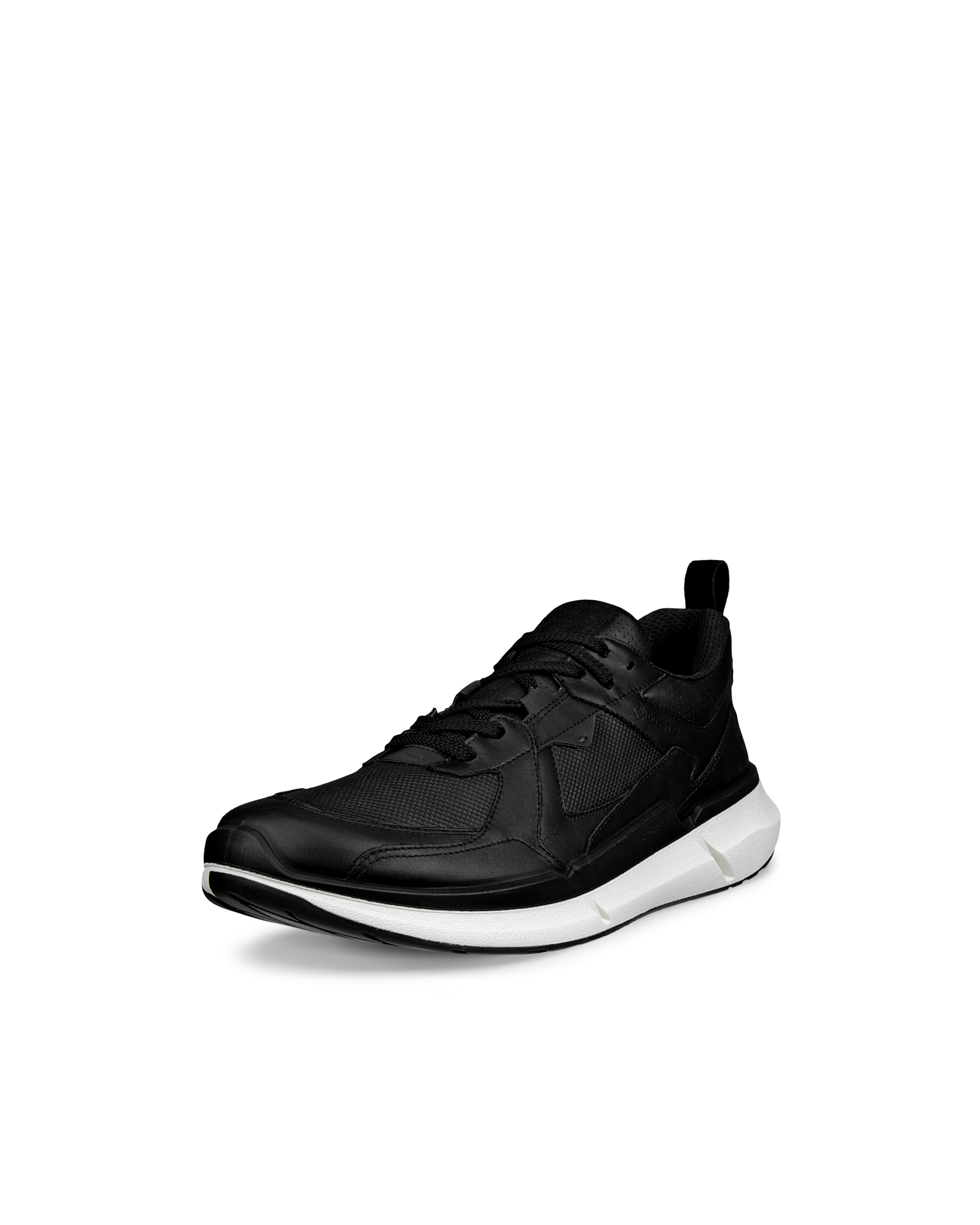 ECCO BIOM 2.2 — Black