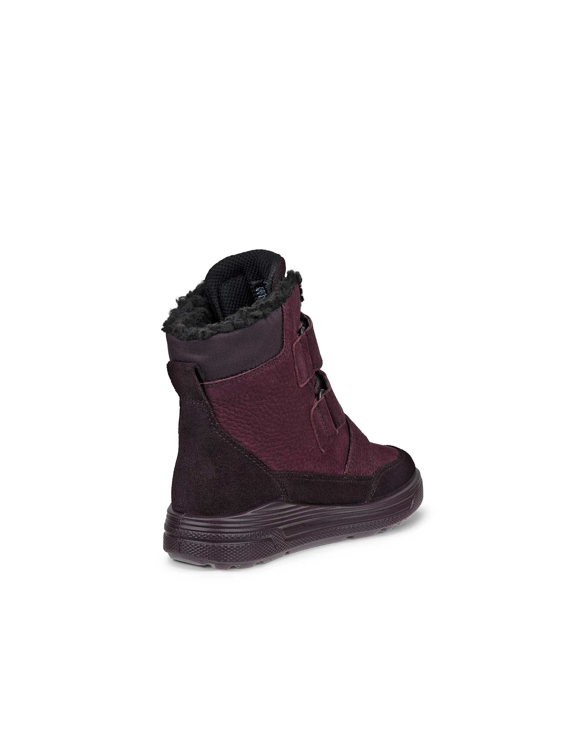 ECCO URBAN SNOWBOARDER - Purple - Back