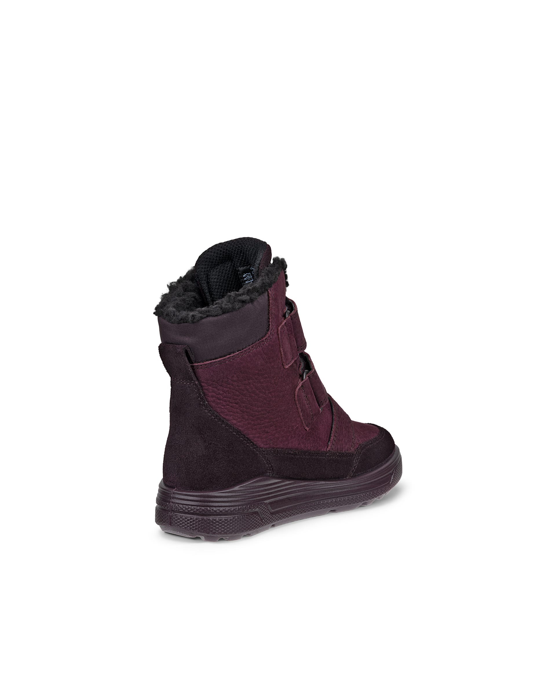 ECCO URBAN SNOWBOARDER - Purple - Back