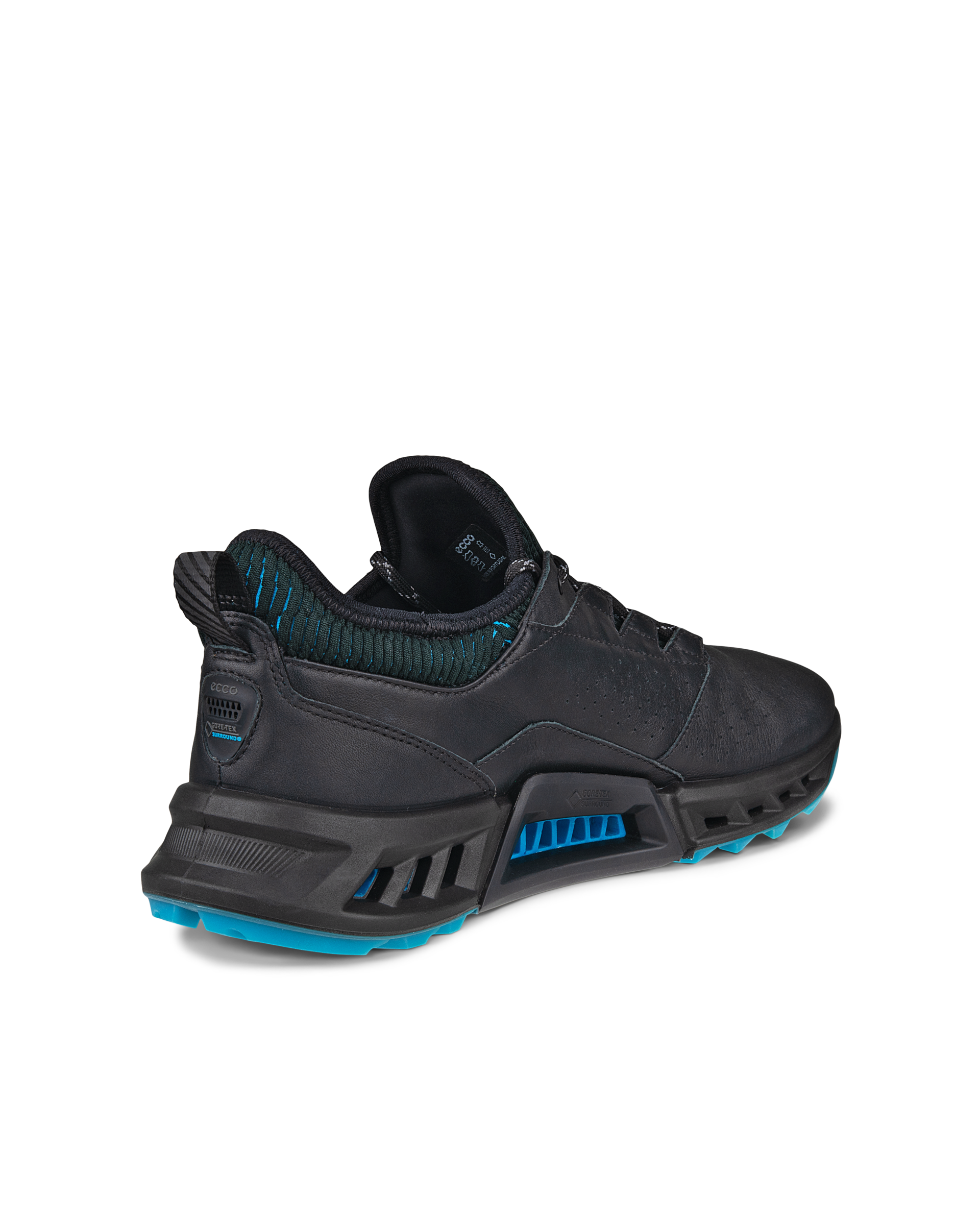 ECCO Golf BIOM C4 Men メンズ レザーGore-Texゴルフシューズ | ブラック