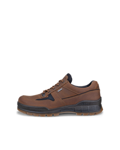 ECCO Track 25 — Brown 1